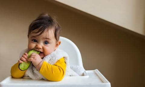Bebé comiendo alimento sólido sentado en la trona