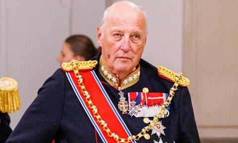 King returns to work, but royal house announces changes to his activities going forward