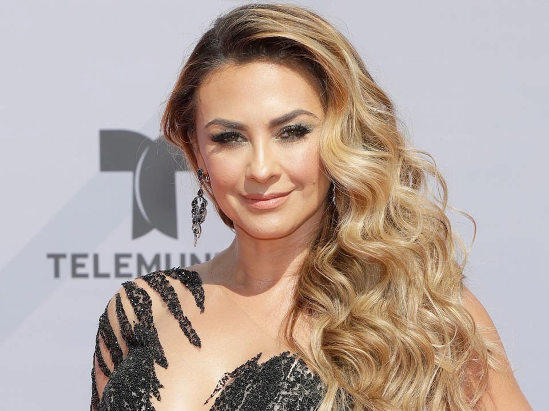 Biografía de Aracely Arámbula