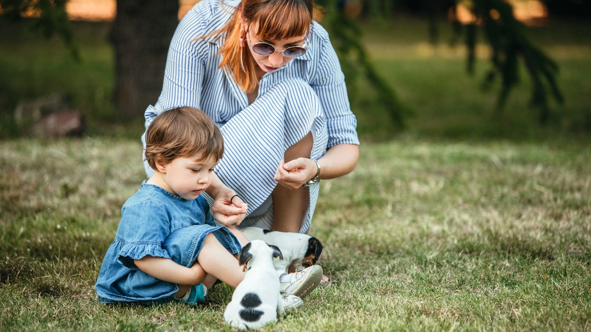 Madre da de comer, junto a su hija, de corta edad, a un cachorrito en el parque