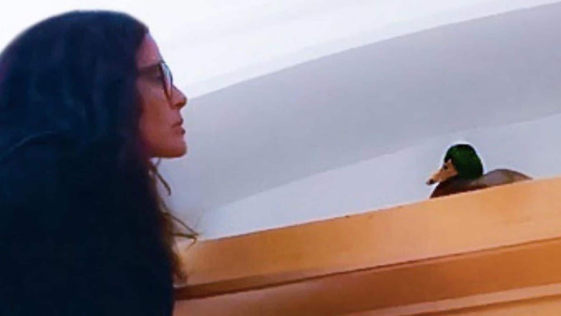 El divertido vídeo de Salma Hayek 'convenciendo' a un pato de que salga de su casa