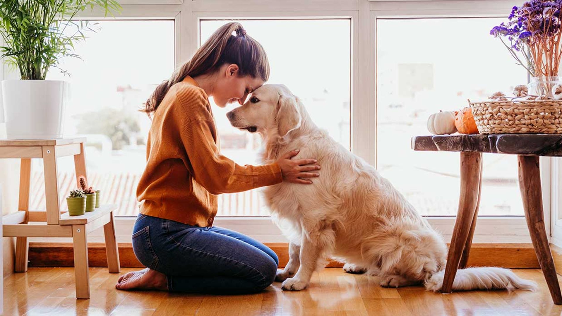 Tu perro agradece tu cariño, pero ¿cómo se lo transmito?