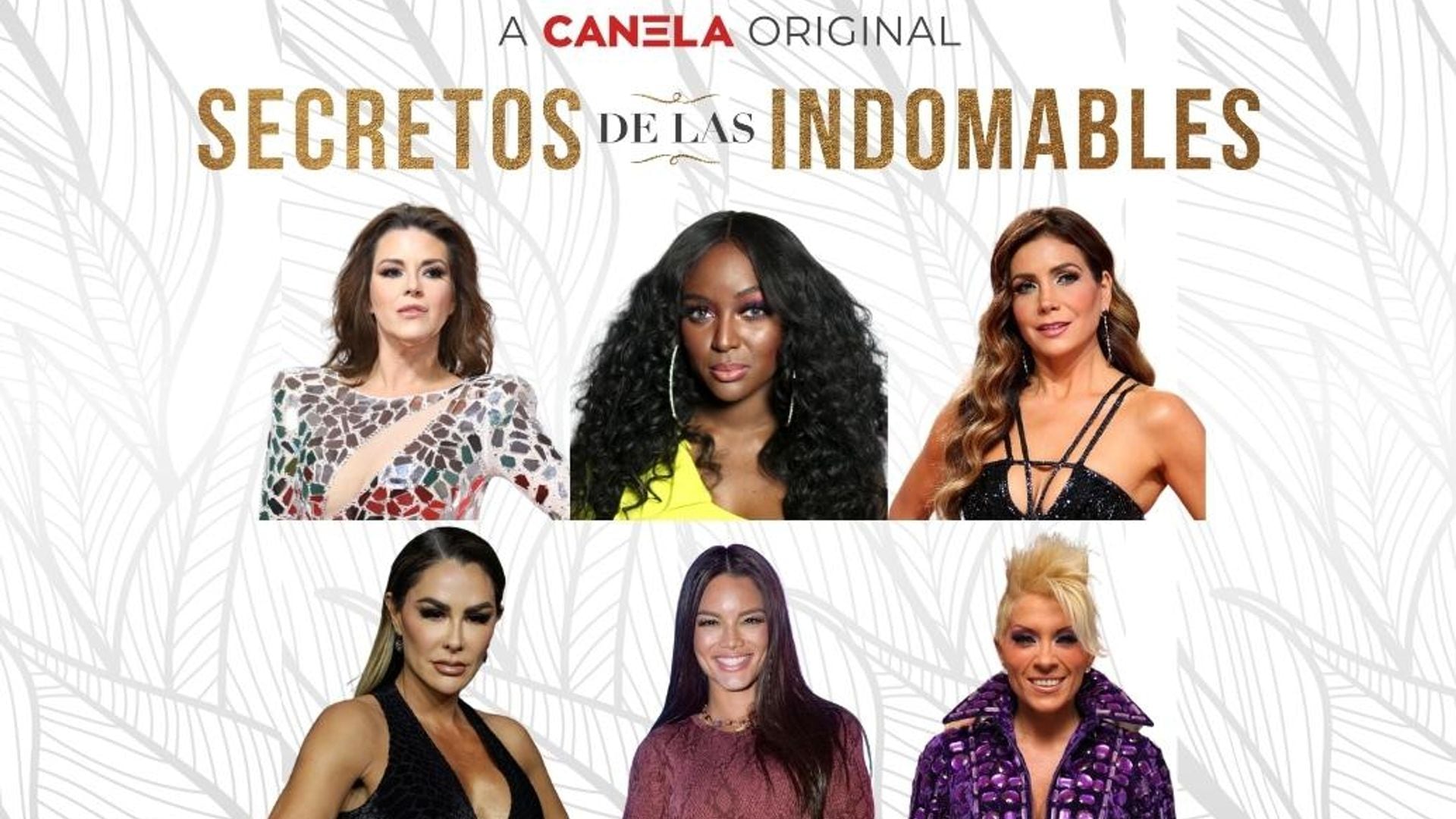 Canela.TV presenta al elenco de estrellas para el reality ‘Secretos de las Indomables’