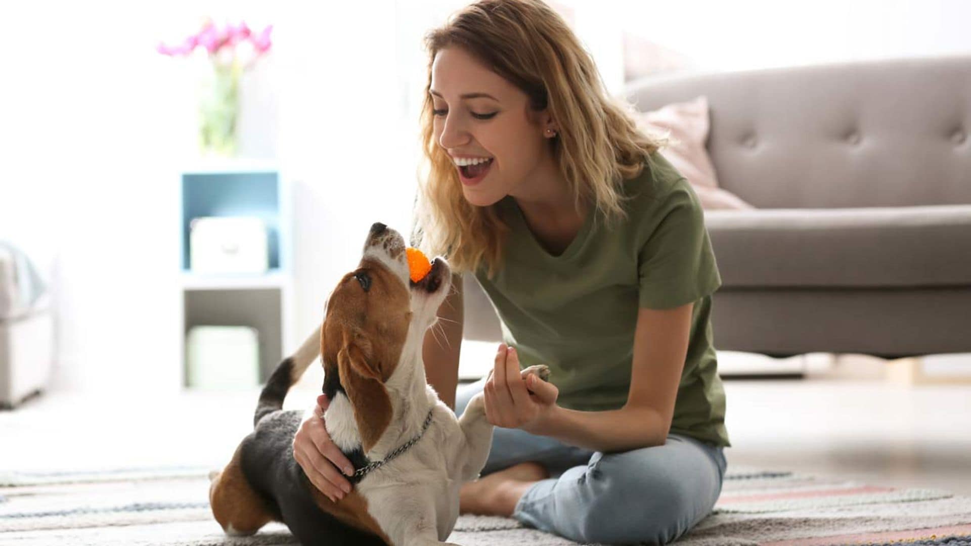 Mascotas en casa: cómo entretenerlas y cuidar su salud en estos días de cuarentena