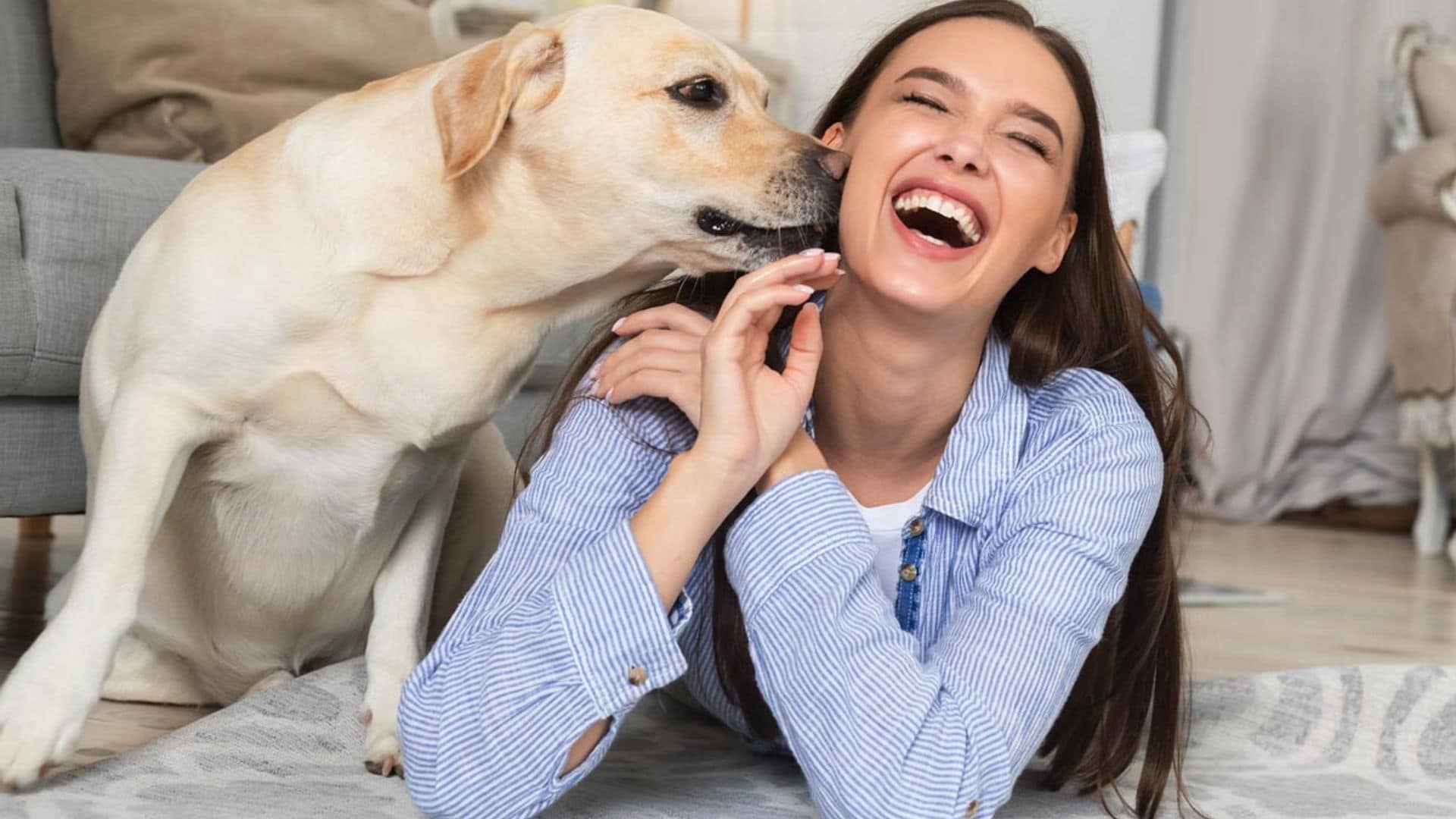 Esto es todo lo que tu perro puede oler (y tú no)