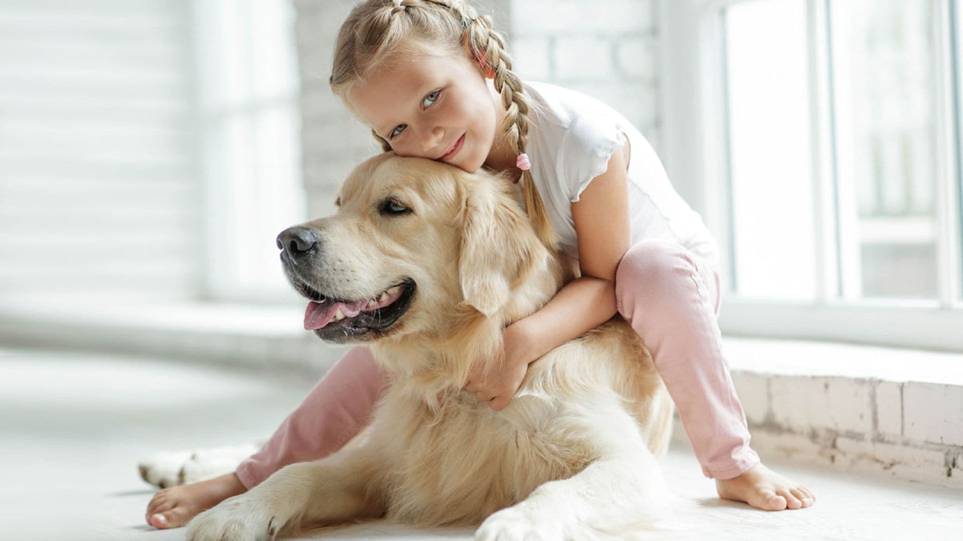 Razas de perro dóciles, ideales para principiantes y familias con niños