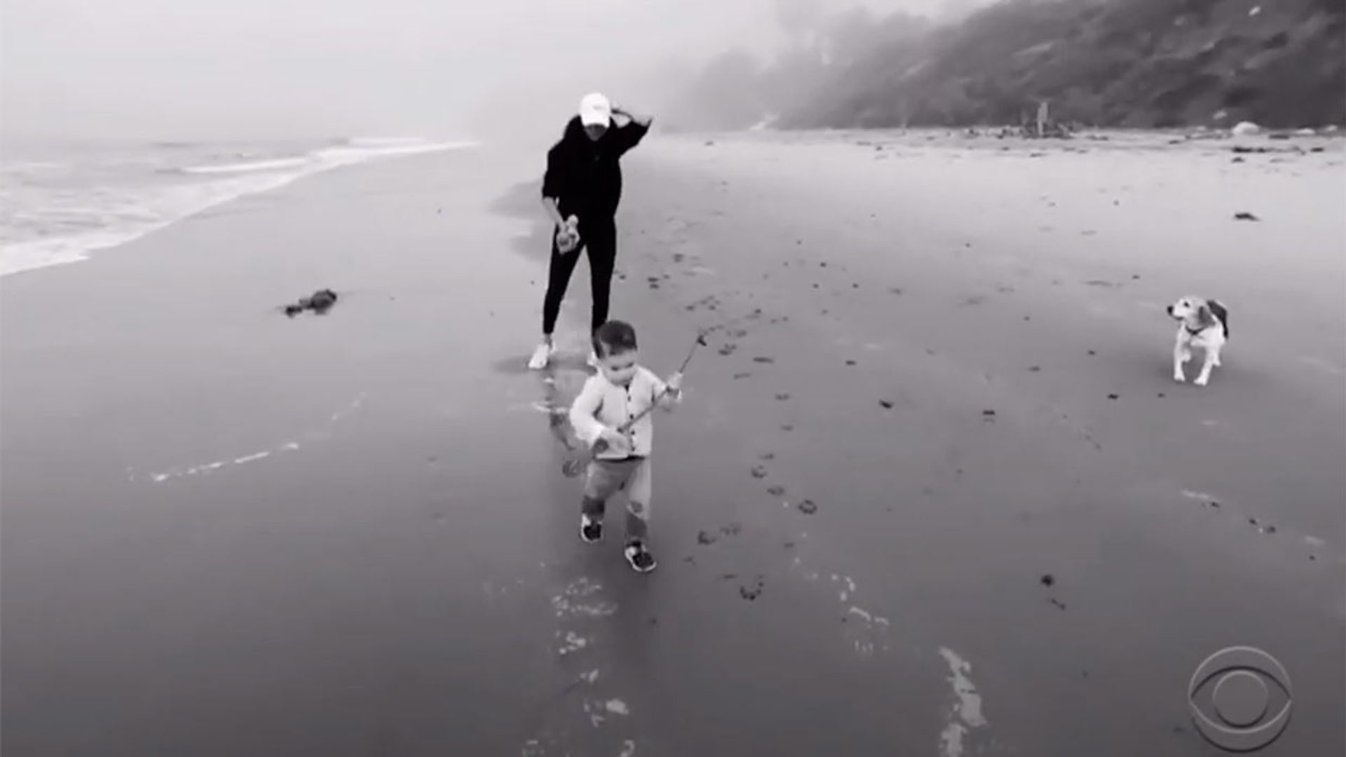 La inesperada aparición de Archie corriendo en la playa