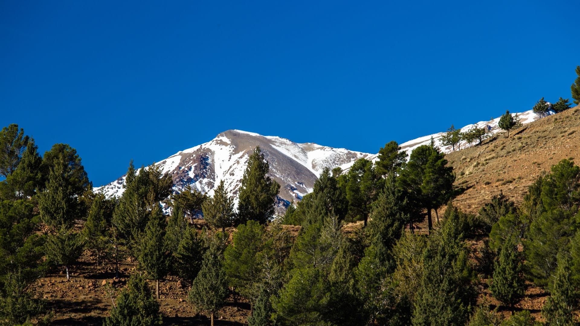 Ifrane, desconexión entre montañas en la pequeña Suiza marroquí