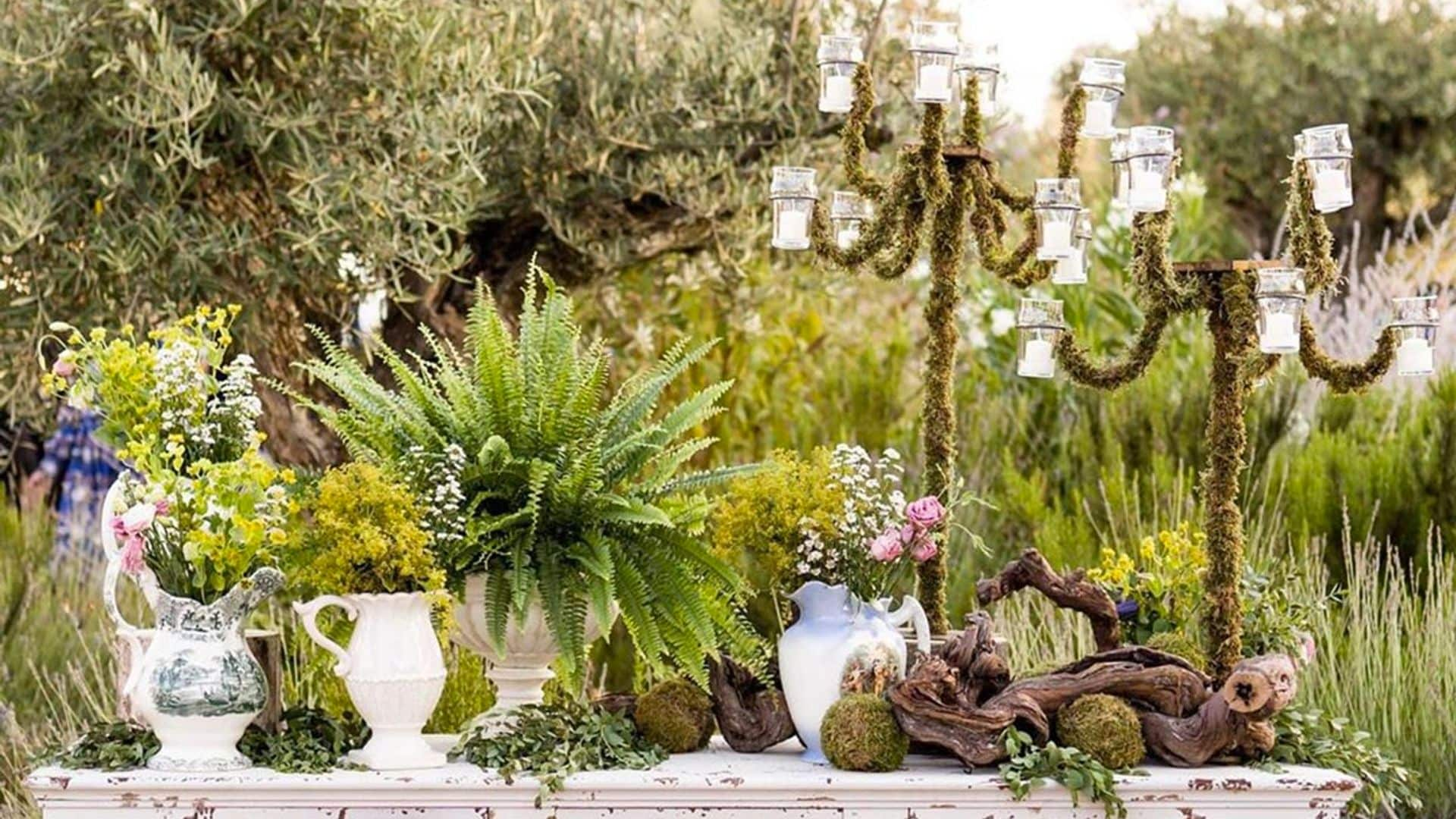 Cómo incluir las plantas en la decoración de tu boda y conseguir un resultado muy elegante