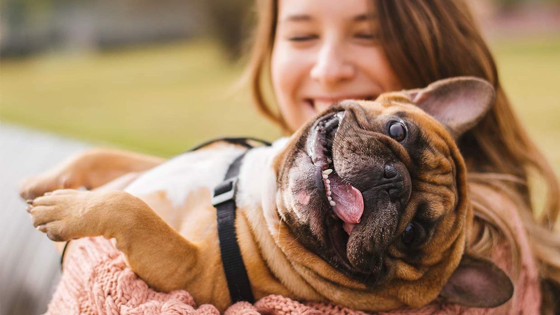 ¿Tienes un 'perrhijo'? Una nueva forma de relacionarnos con nuestras mascotas