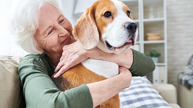 mascota puede ayudar mejorar vida soledad ancianos