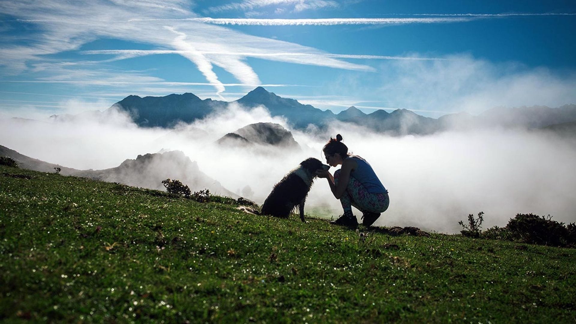 Planes para viajar con tu perro en 2023, uno para cada mes del año