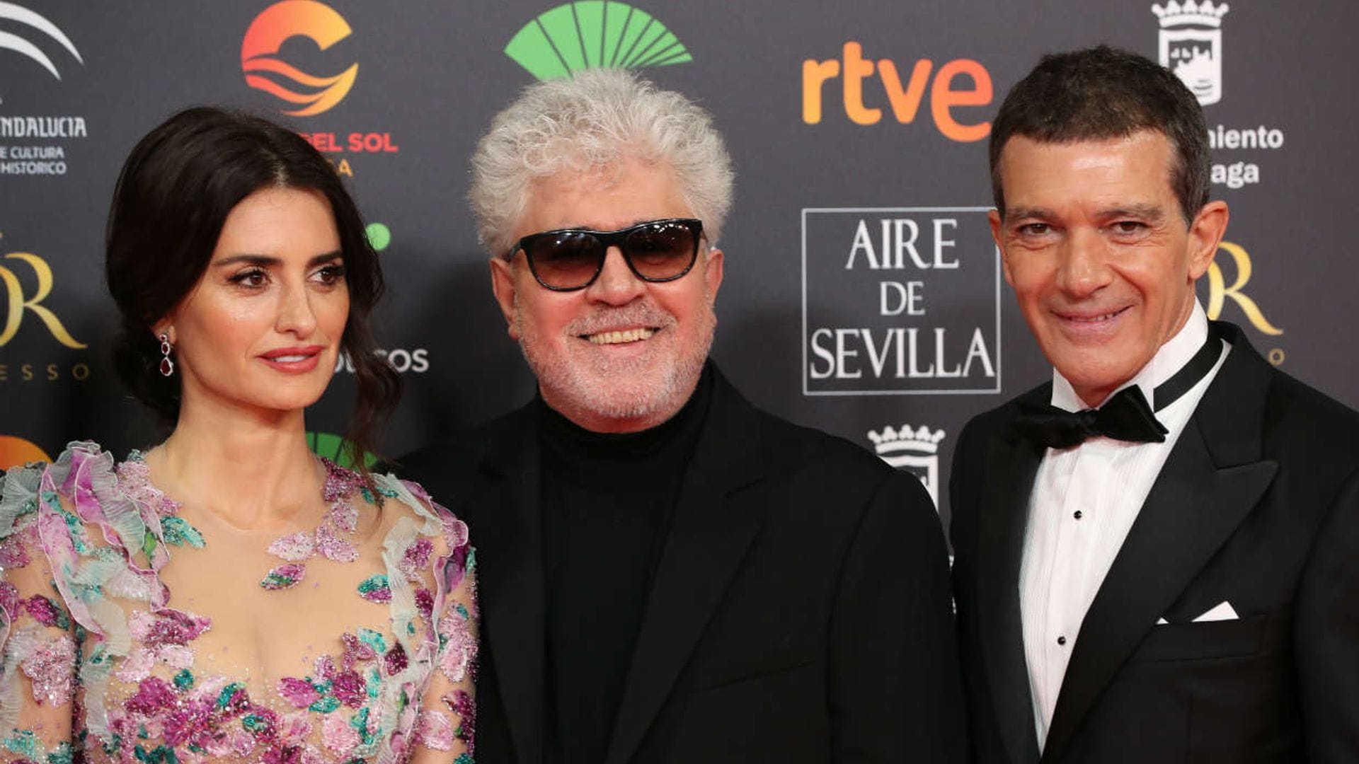 Penélope Cruz y Antonio Banderas protagonizarán una película ¡y no es de Almodovar!