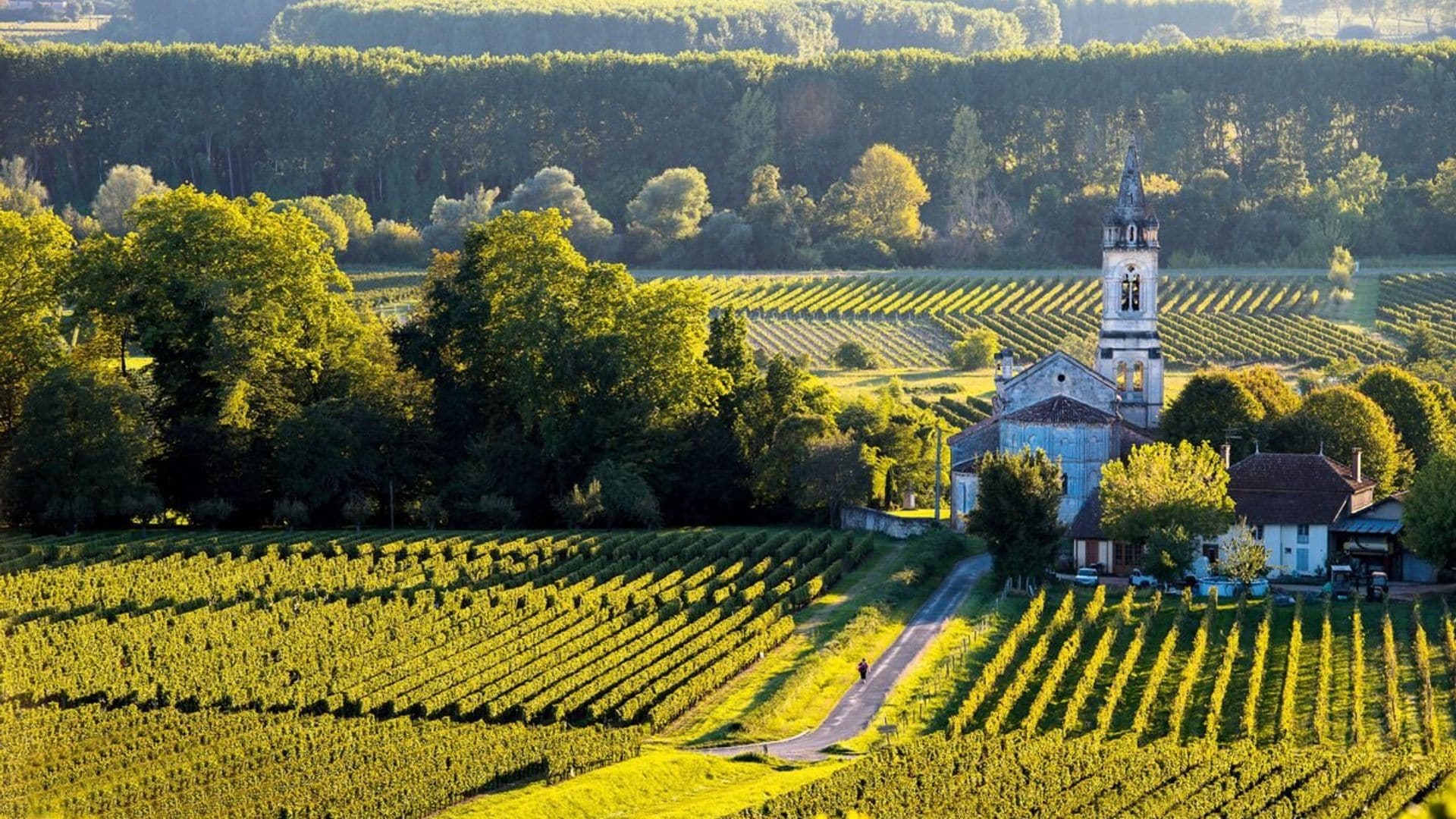 Francia: por los ‘châteaux’ más señoriales