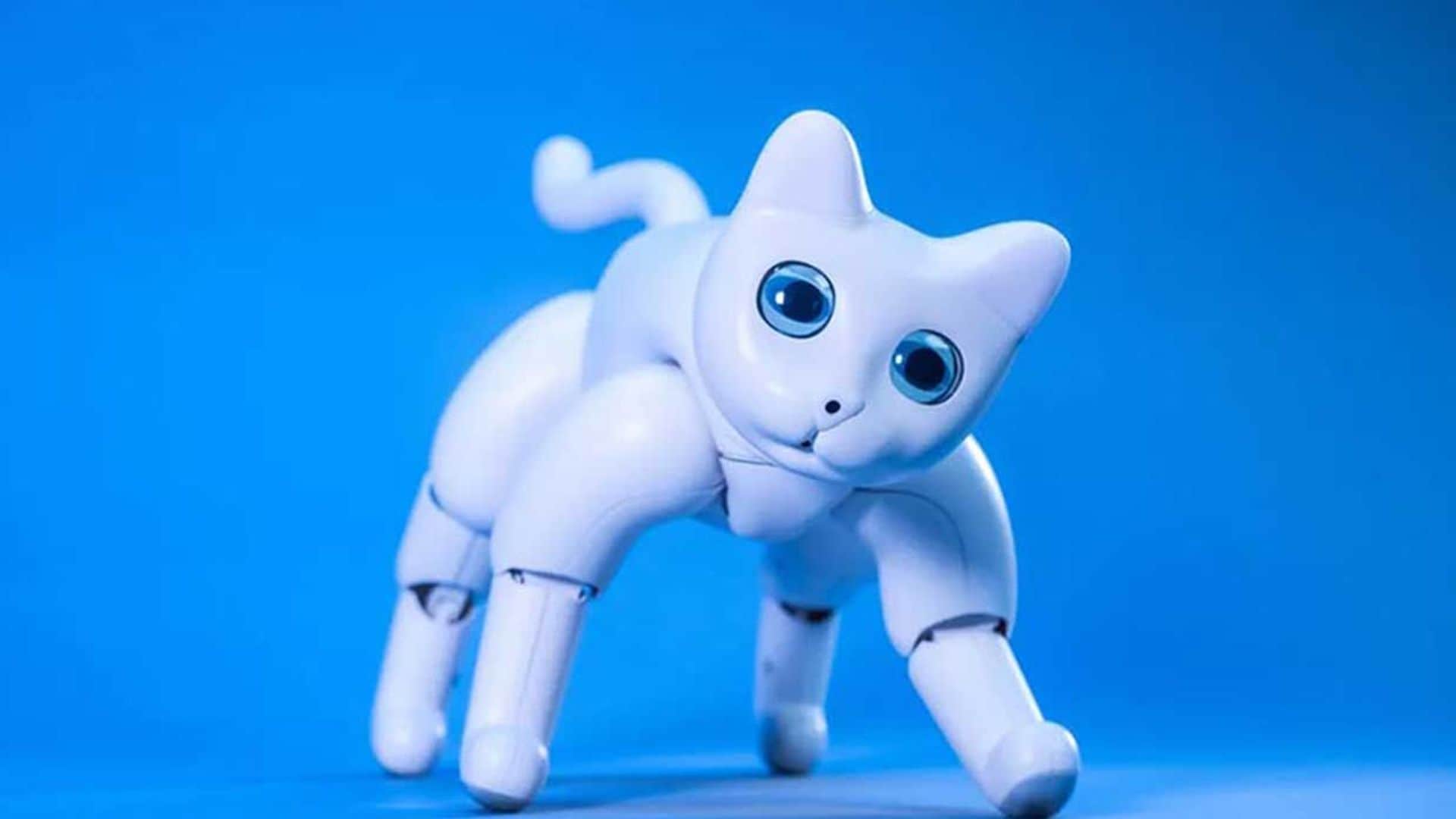 El gato robótico 'MarsCat', ¿la mascota del futuro?