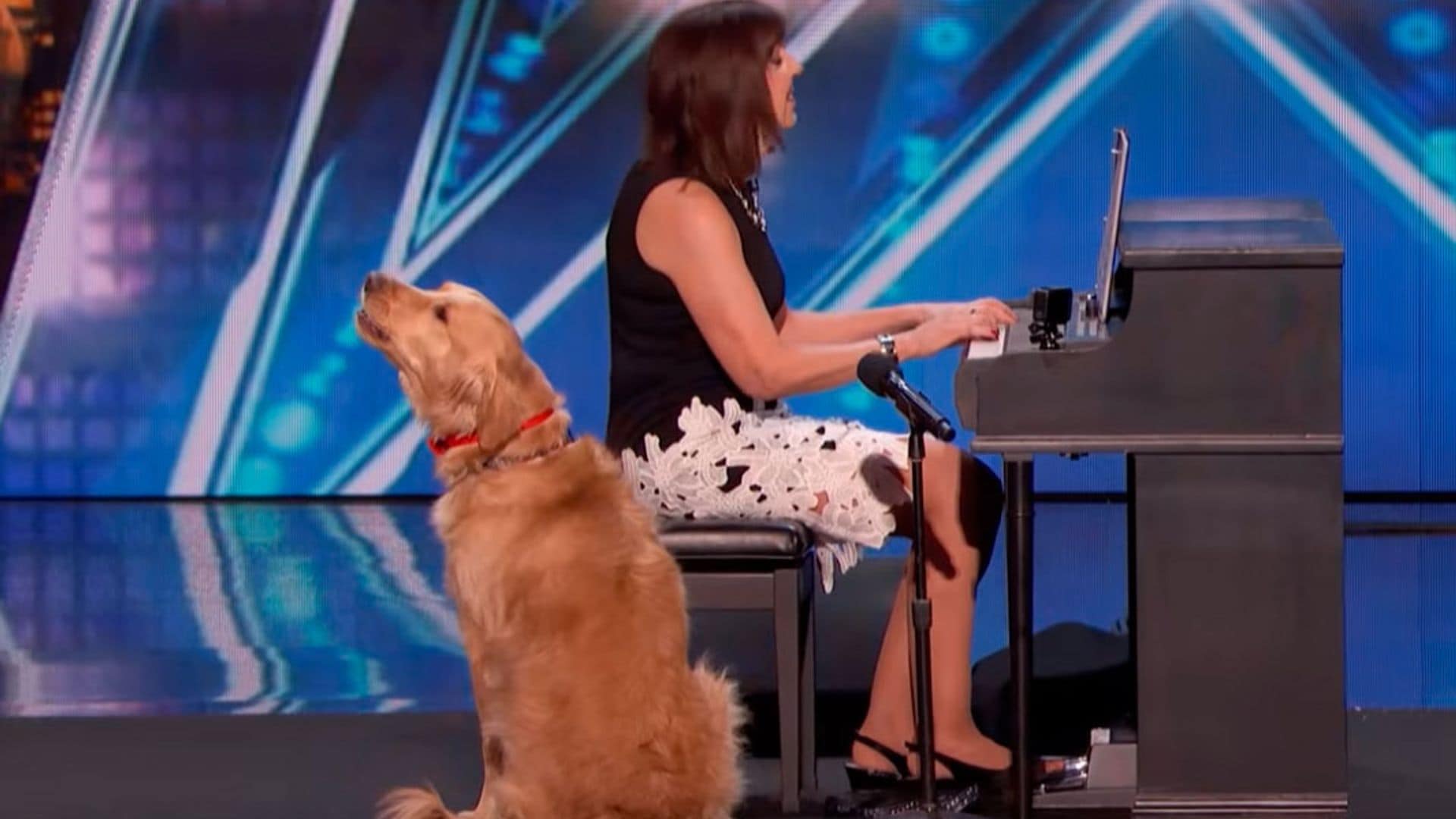 Oscar, el perro que sorprendió cantando en 'America’s Got Talent'