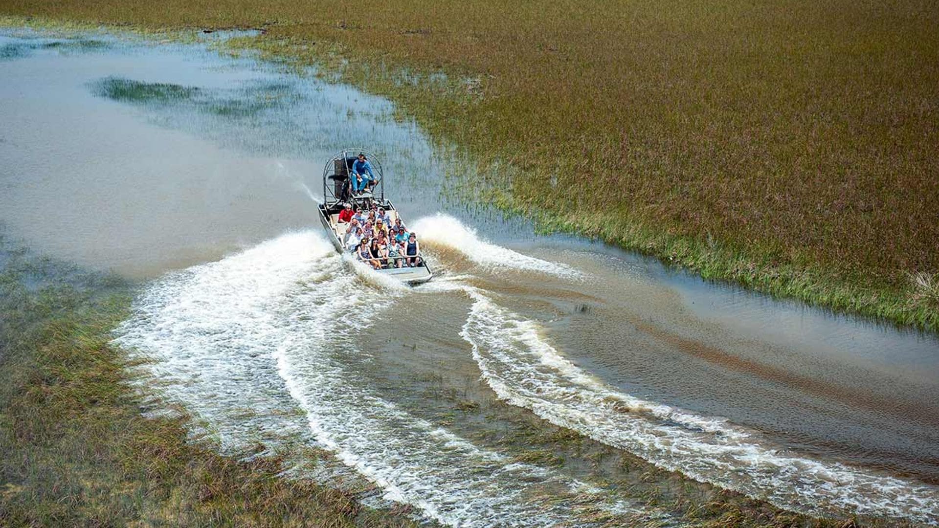 Entre lagartos gigantes en el Parque Nacional de Everglades