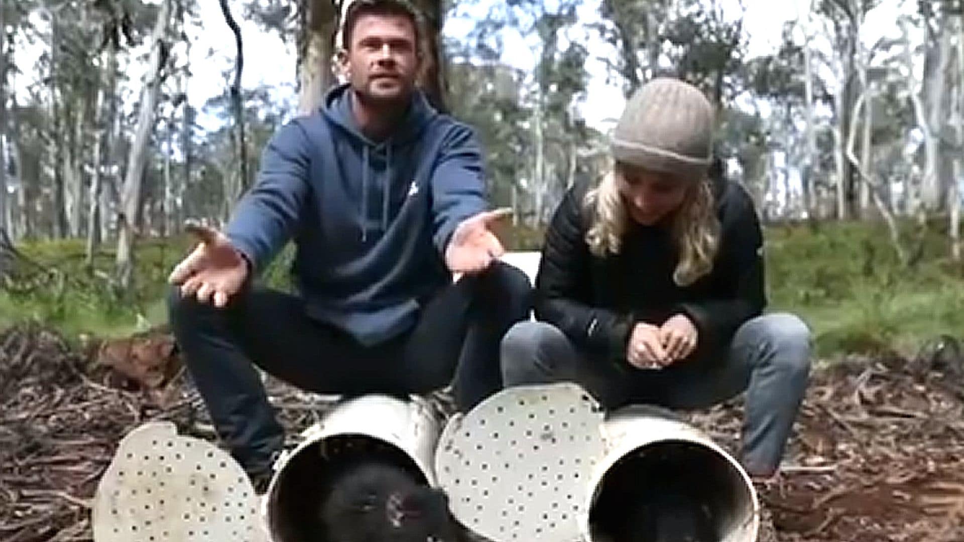 Chris Hemsworth y Elsa Pataky, dos 'superhéroes' al rescate del demonio de Tasmania