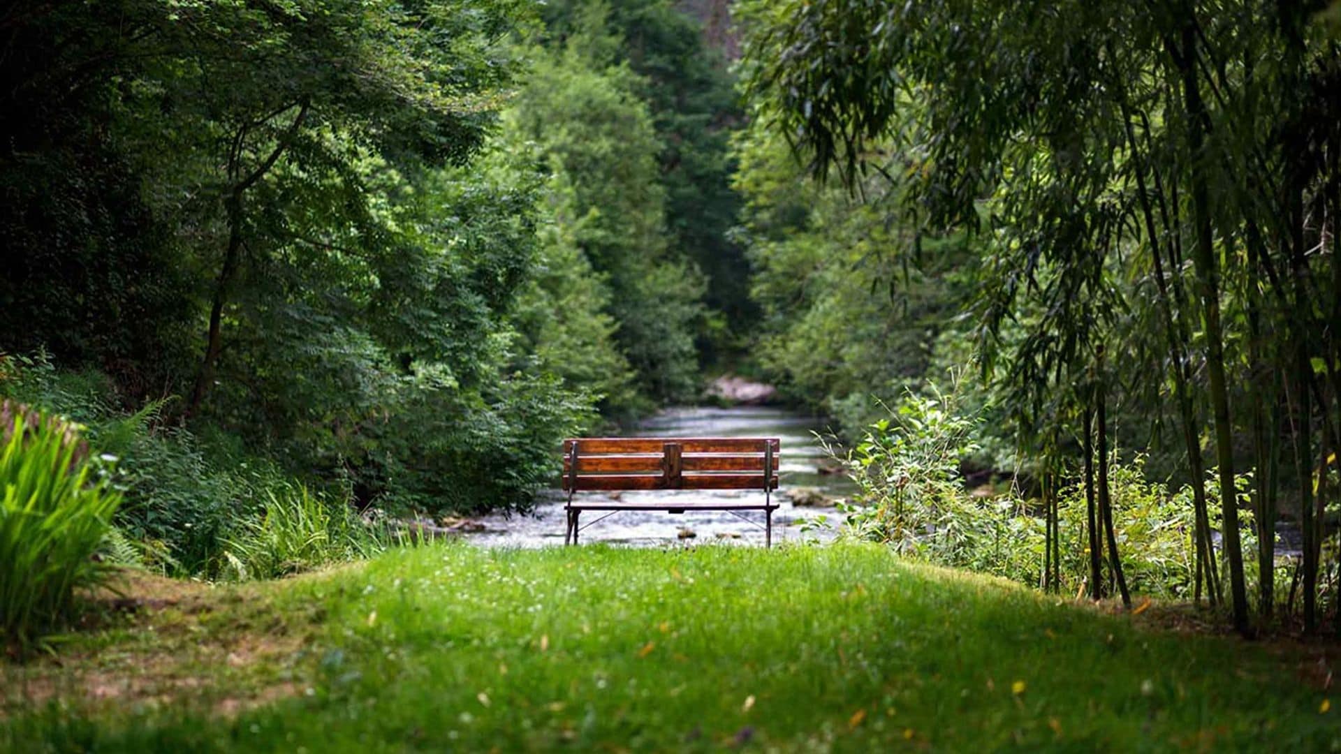 Alojamiento rural, naturaleza y Cantabria, una combinación que triunfa este verano