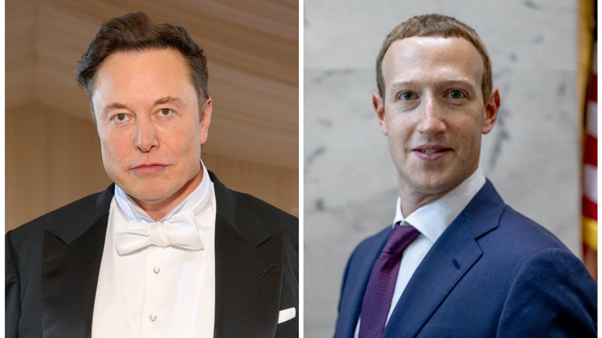 Elon Musk y Mark Zuckerberg, ¿se enfrentarán en un ring?