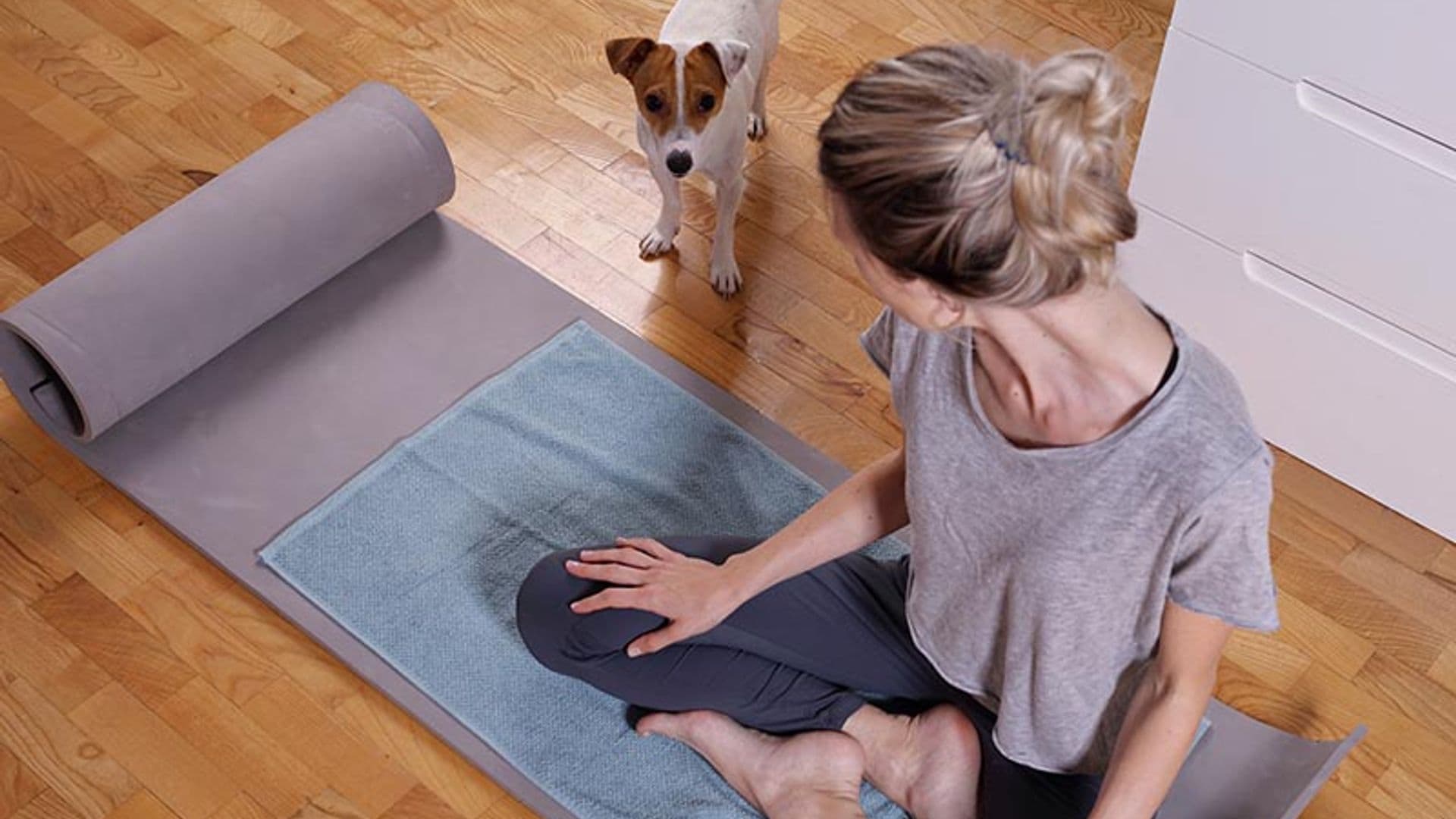 'Doga': practica yoga con tu perro