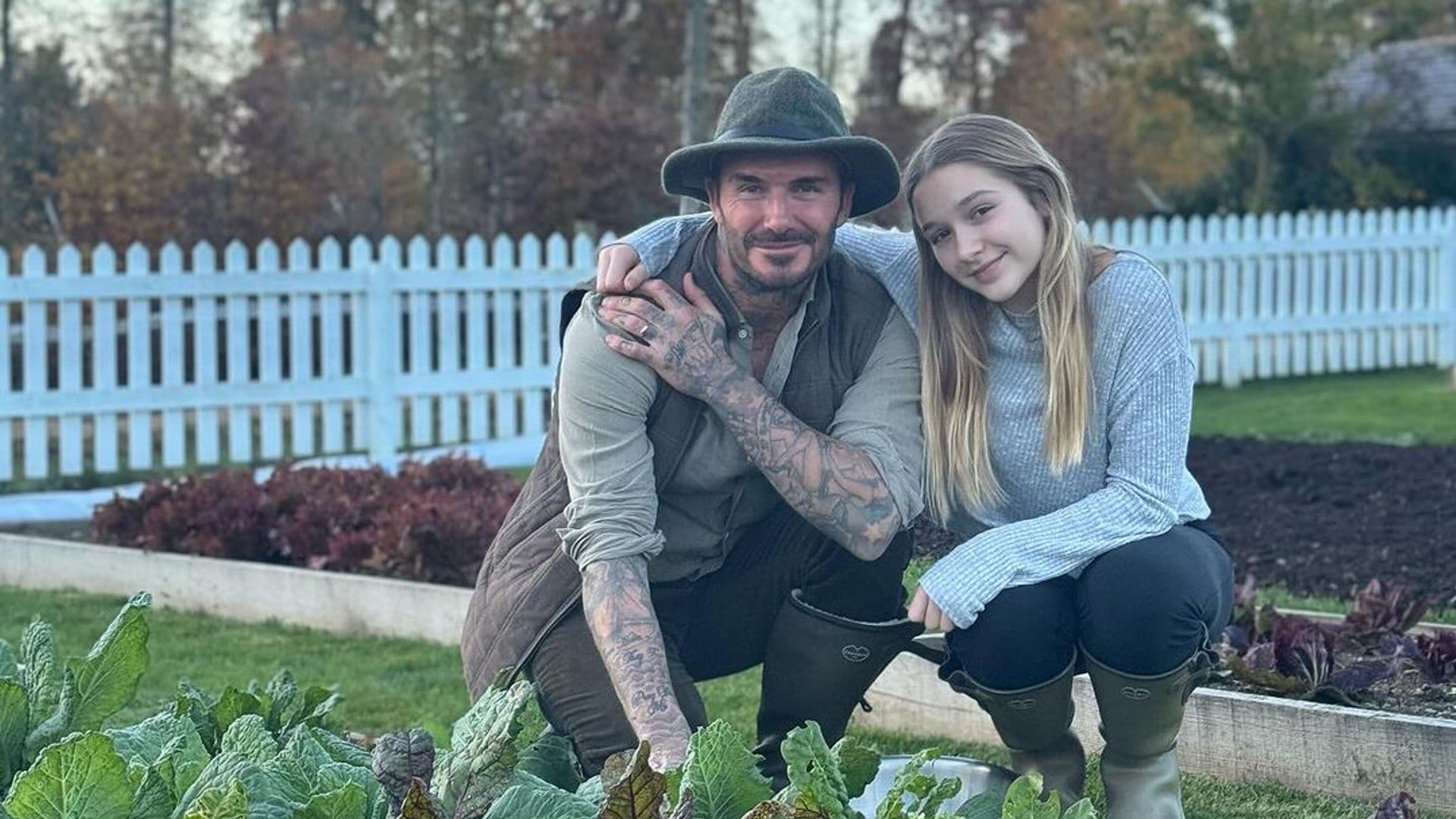 David Beckham, como nunca le habíamos visto con sus gallinas: así ha reaccionado Victoria