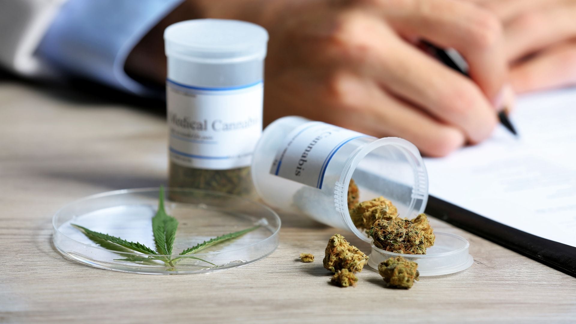 doctor prescribiendo el uso médico del cannabis