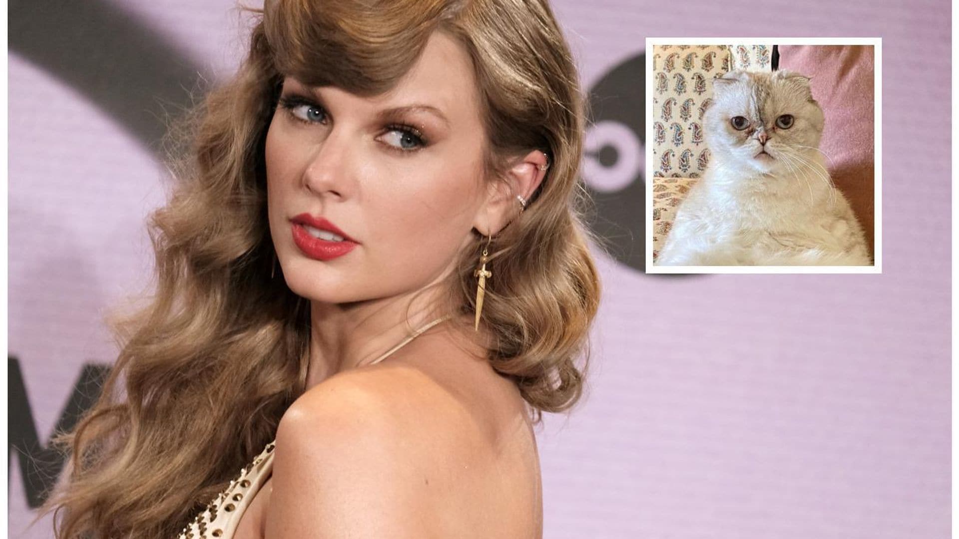 Así es Olivia Benson, la tercera mascota más rica del mundo y gatita de Taylor Swift