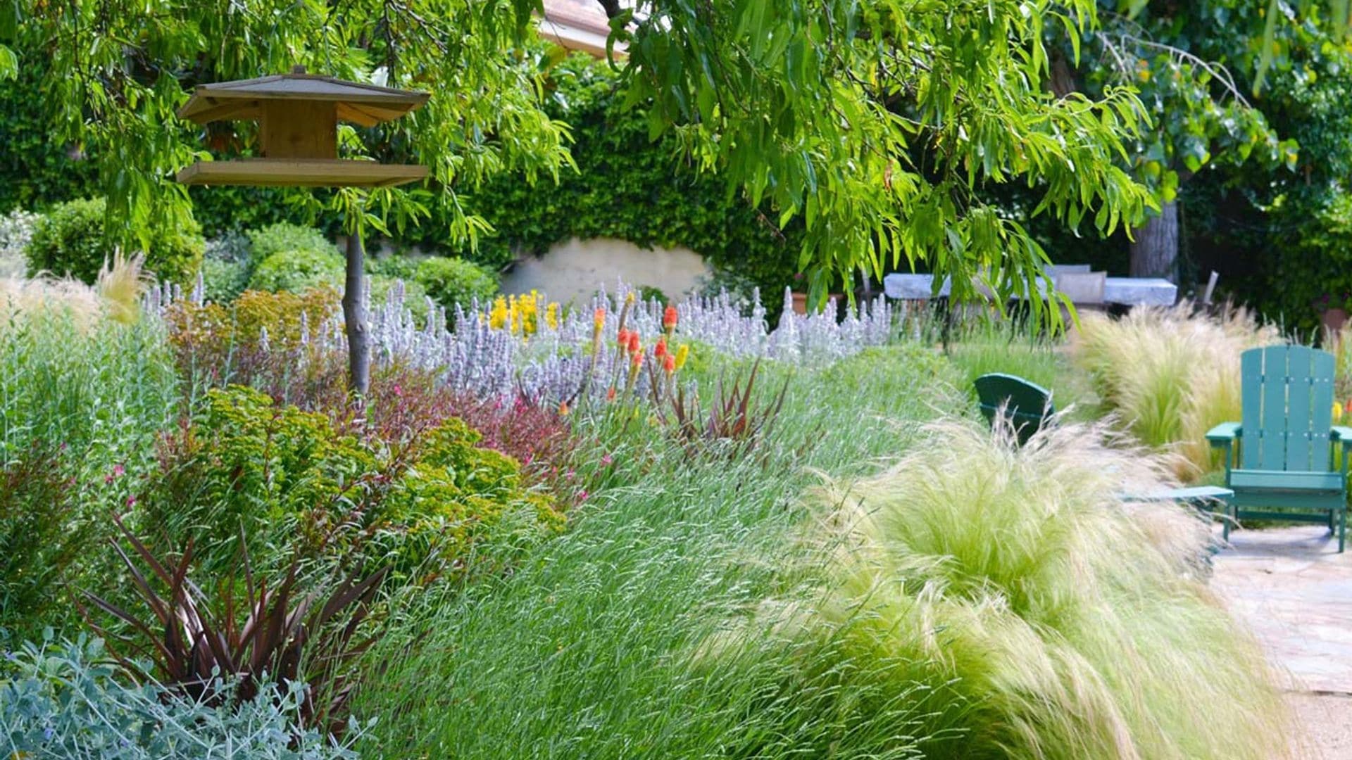 Cómo generar biodiversidad en tu jardín con plantas y otros recursos