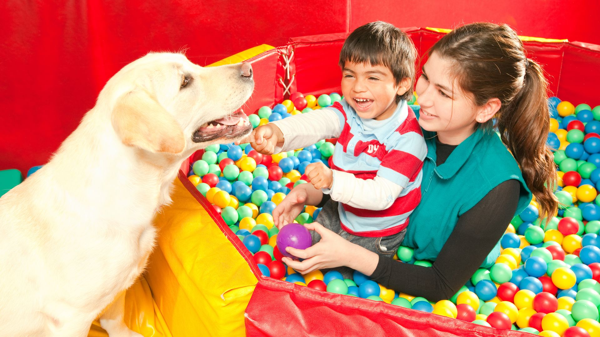 Perro en terapia con niño