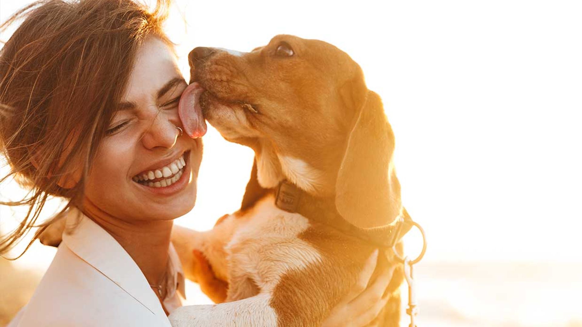 Estas son las razas de perros más cariñosos