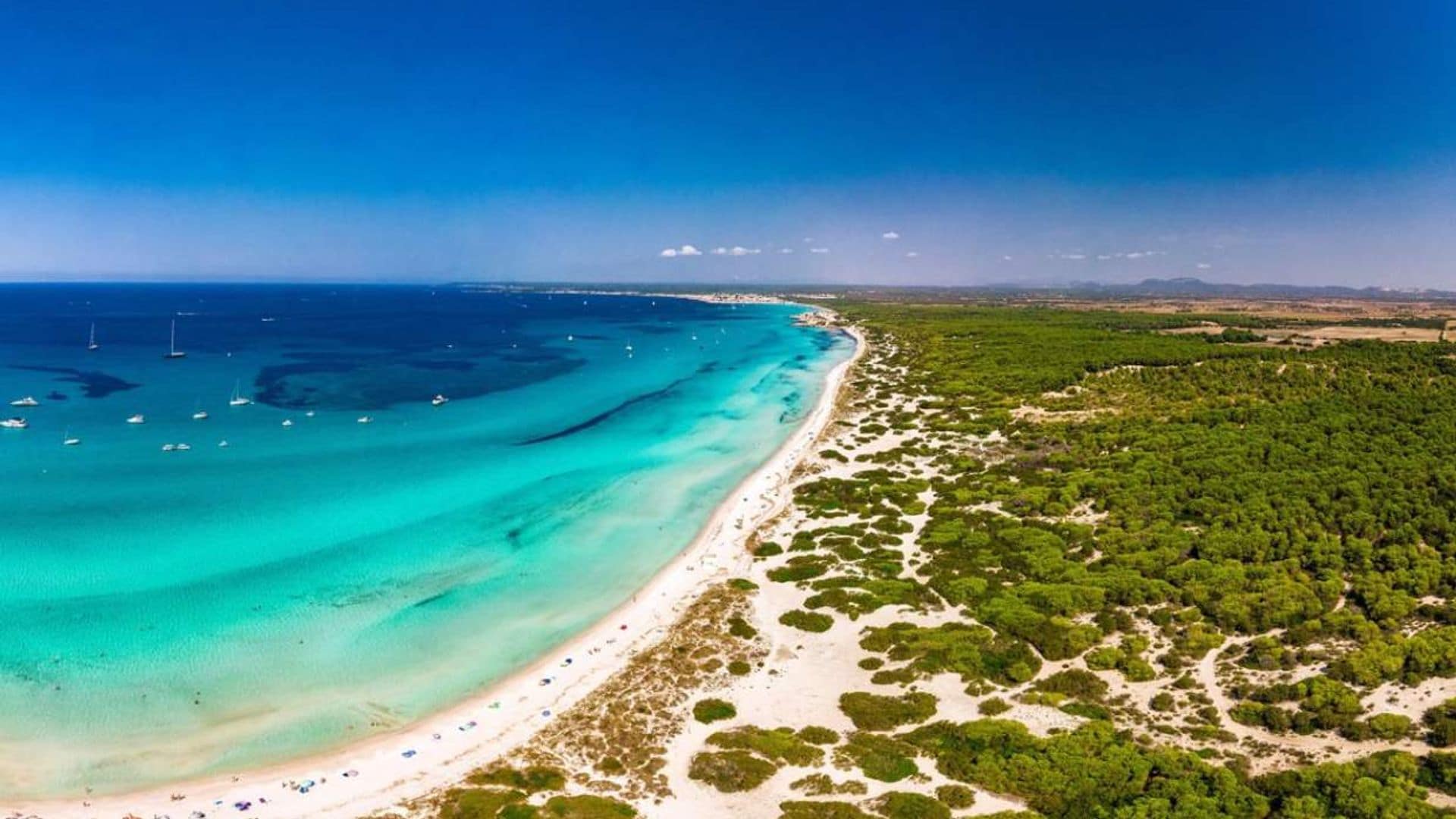 La última playa virgen (y la más salada) de Mallorca se llama Es Trenc