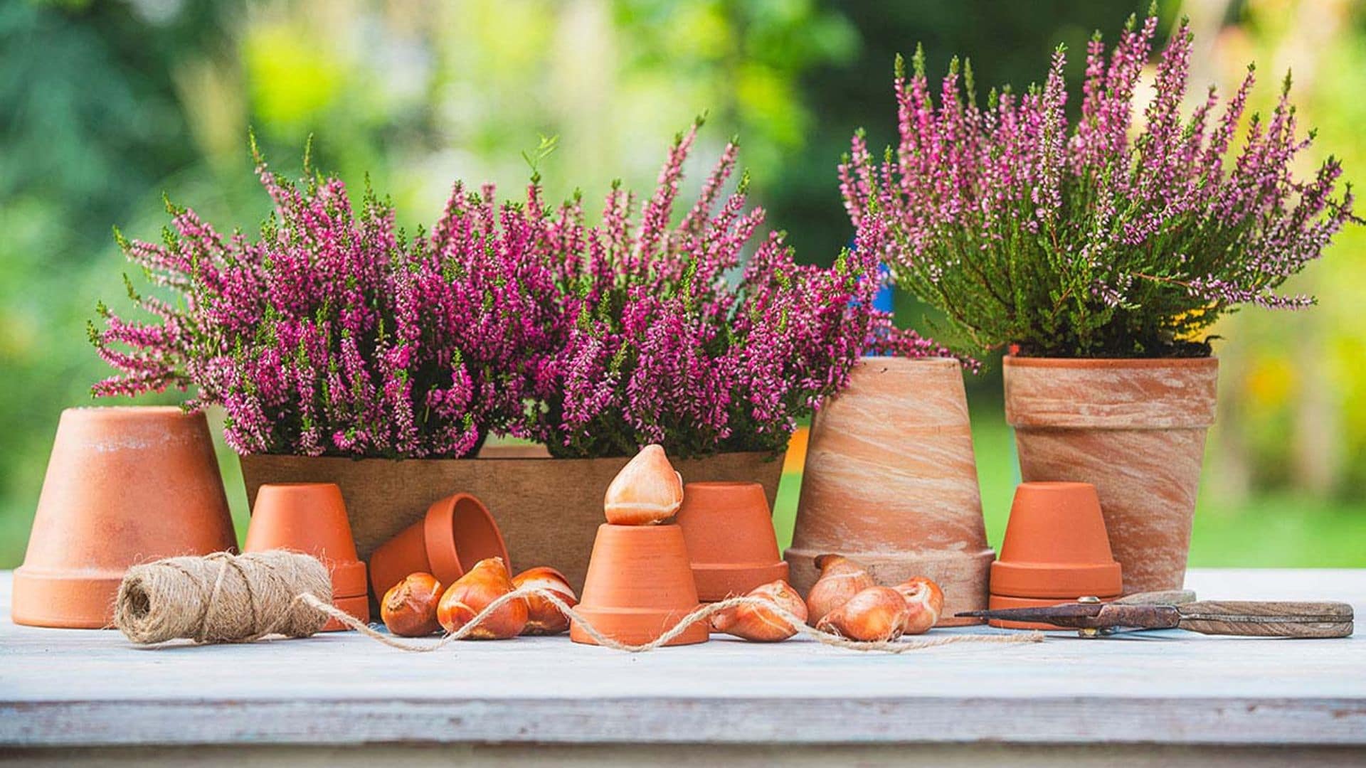 Macetas para el jardín: cómo elegir las más adecuadas para tus plantas de exterior