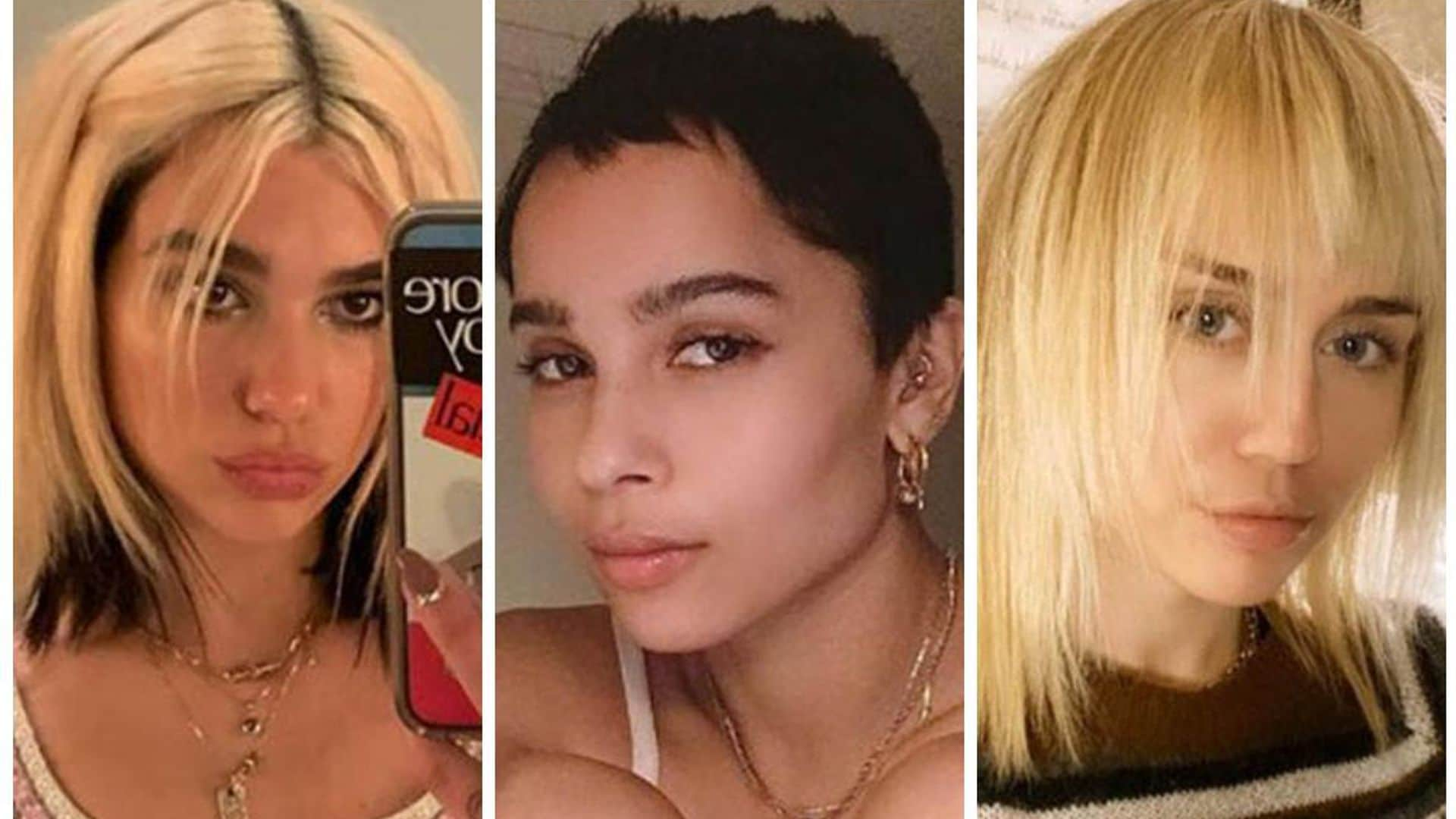 Con estos cambios de look nos sorprendieron las famosas en 2019