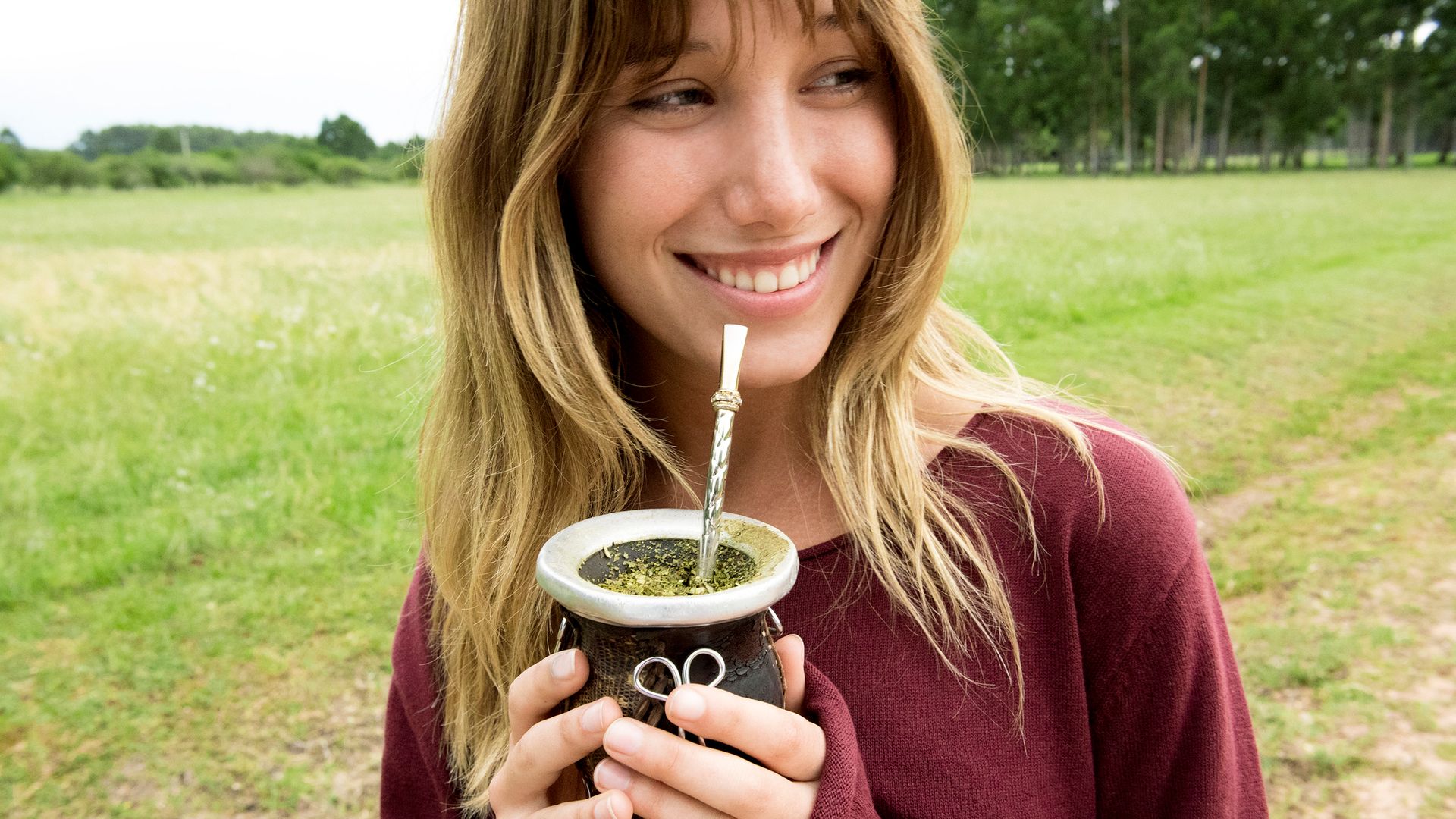 Yerba mate: los beneficios para la salud de esta planta medicinal