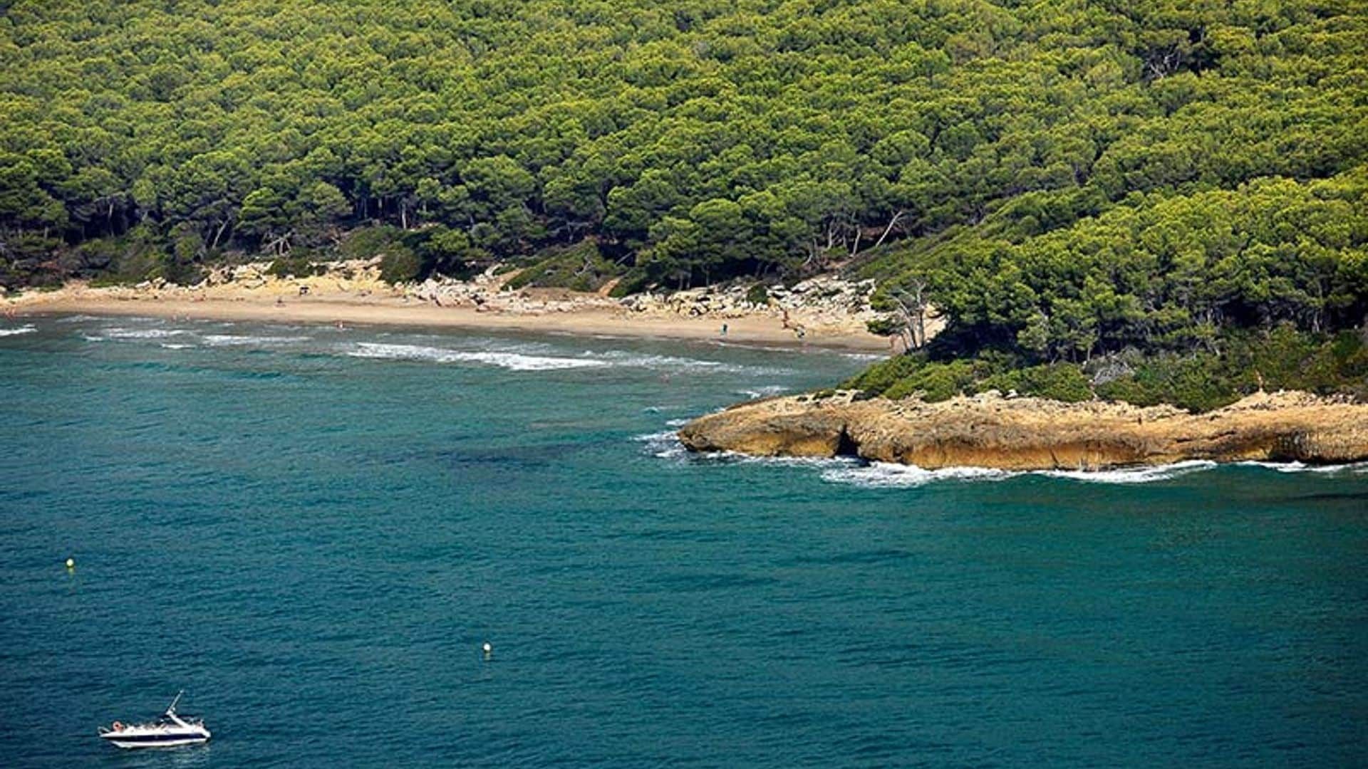 Por la Costa Daurada más natural, en busca de playas, bosques, humedales...