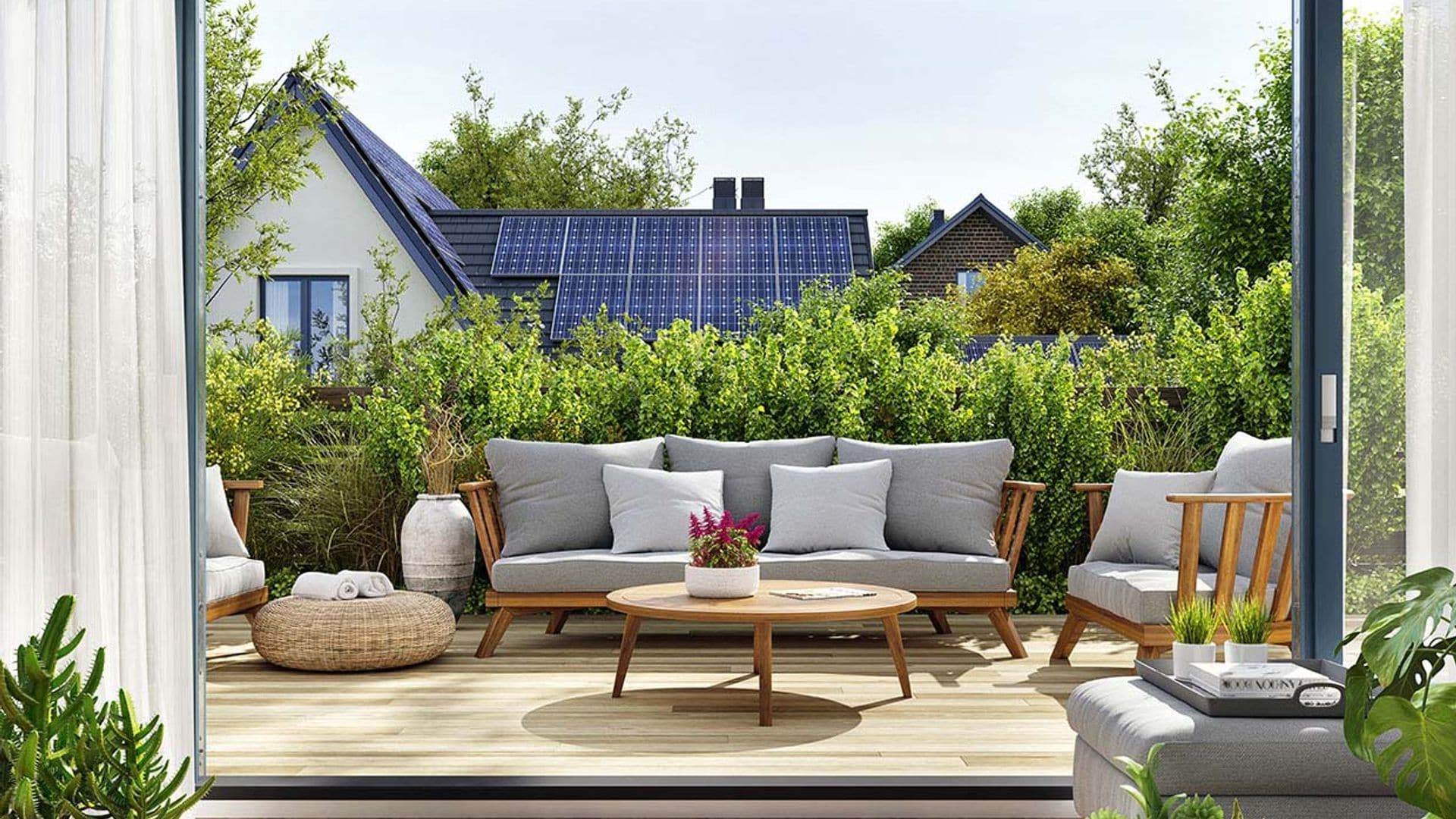 Cómo regar las plantas de la terraza este verano