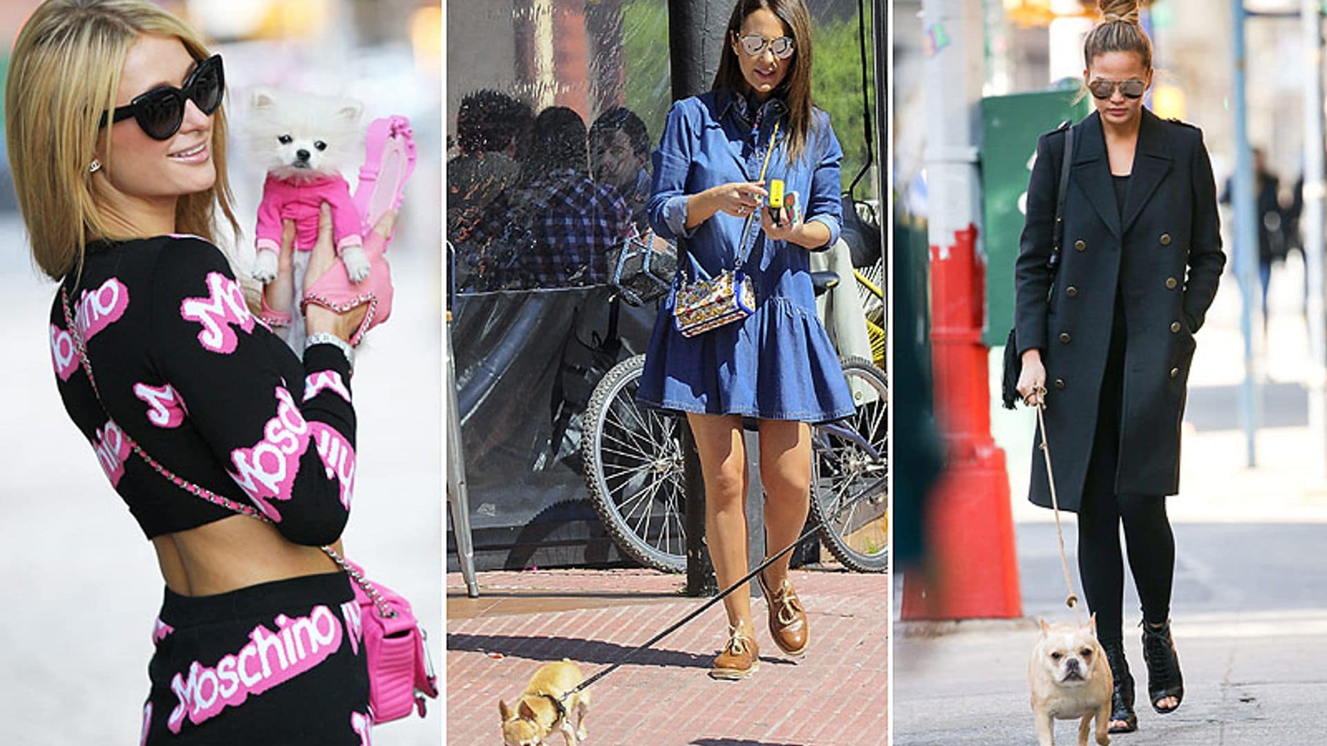 Ellas marcan estilo... ¡hasta paseando a sus mascotas!