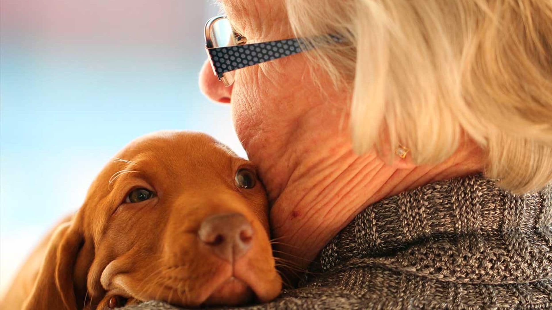 Cómo una mascota puede mejorar la vida de las personas mayores