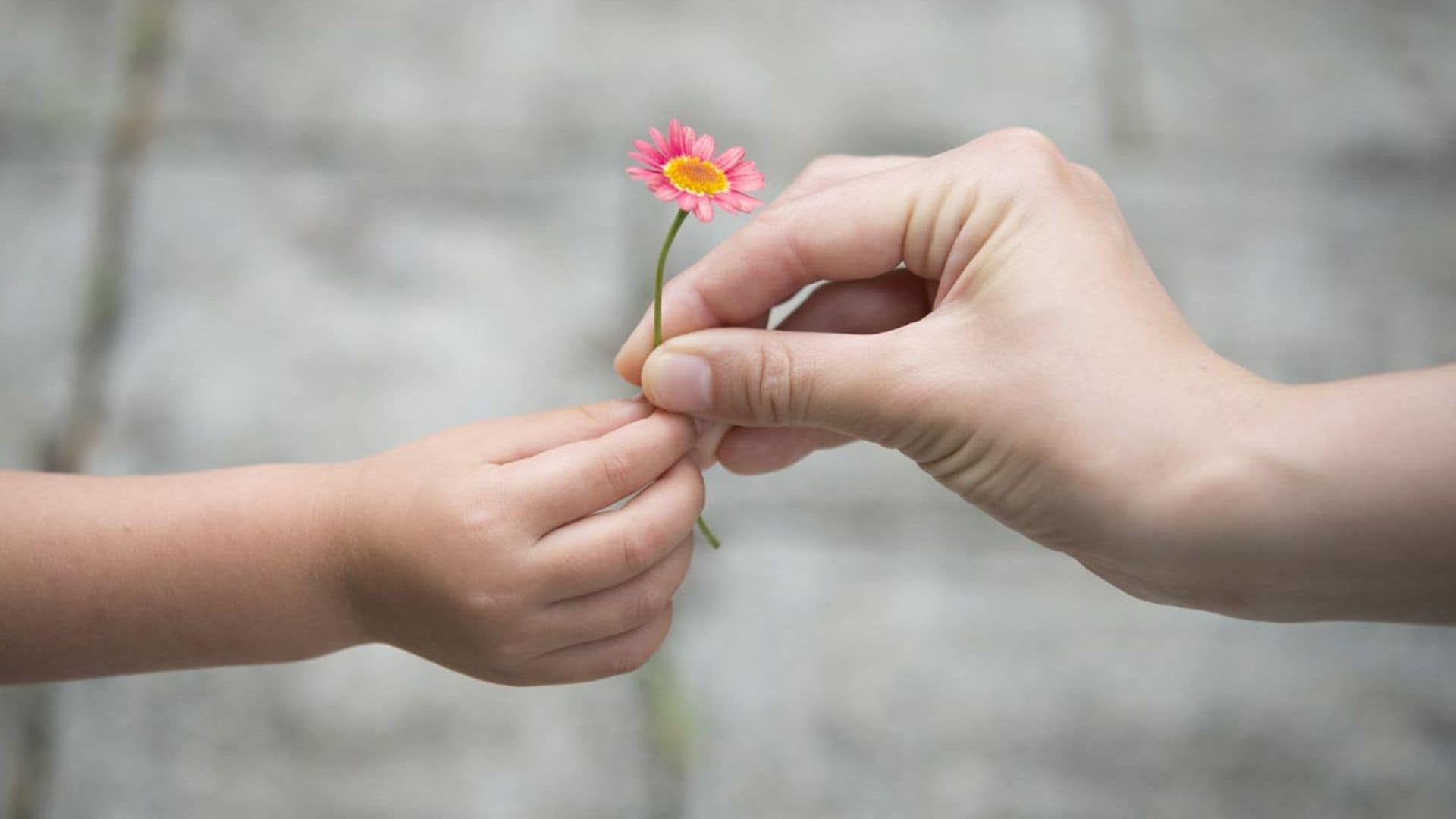 Por qué ser una persona agradecida te hará más feliz