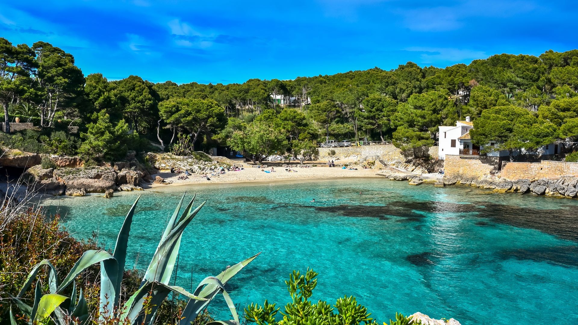 Calas, pueblos, naturaleza… estos son los imprescindibles si visitas Mallorca