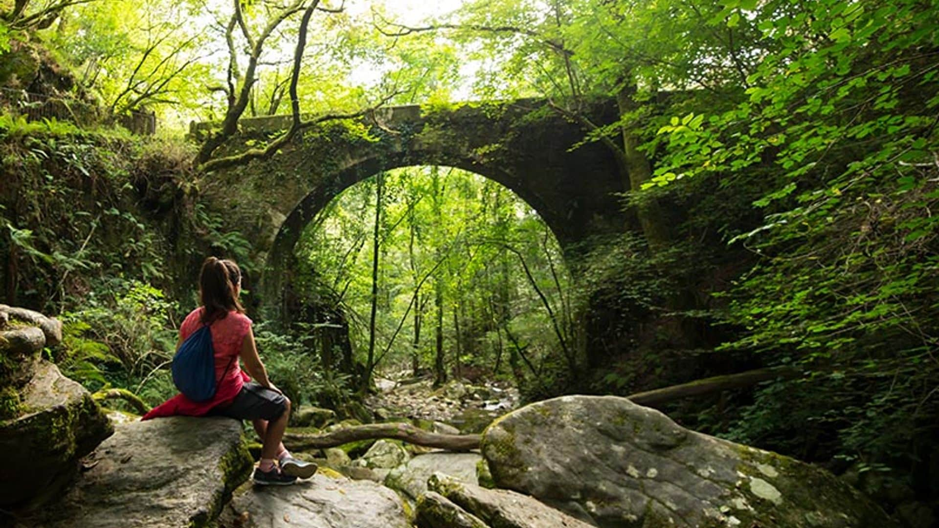 Senderismo cultural: descubre las joyas arquitectónicas y las leyendas de los bosques