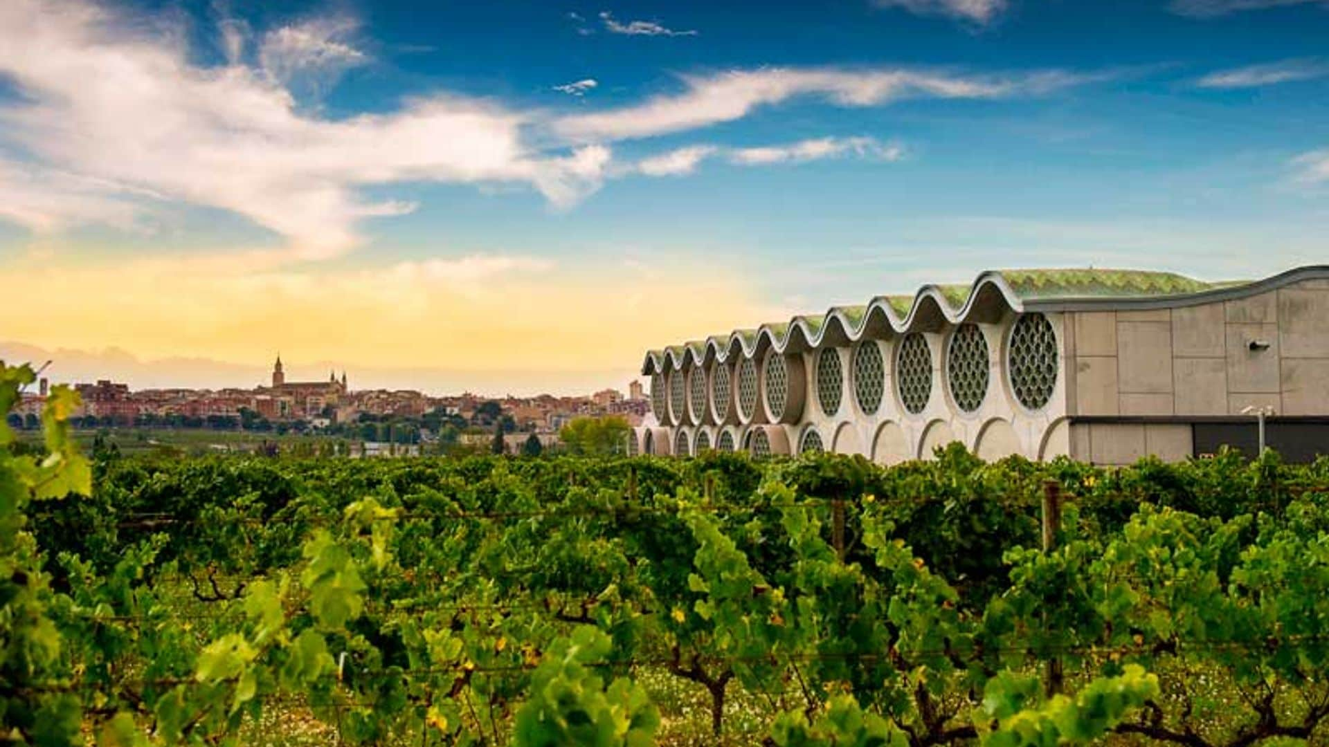 Ruta entre viñas: los mejores planes de enoturismo para ‘beberse’ el Penedès