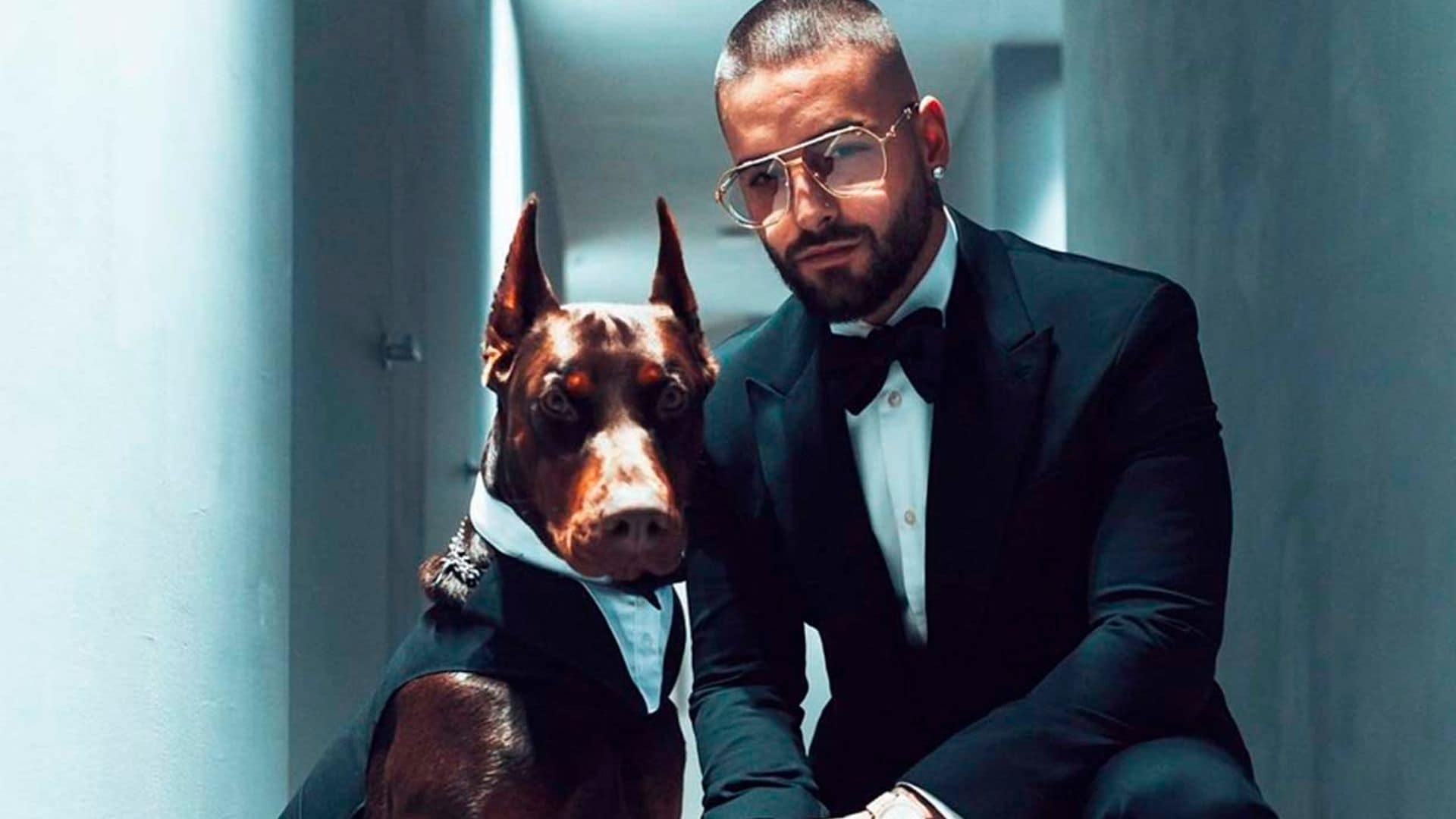 maluma perro ig