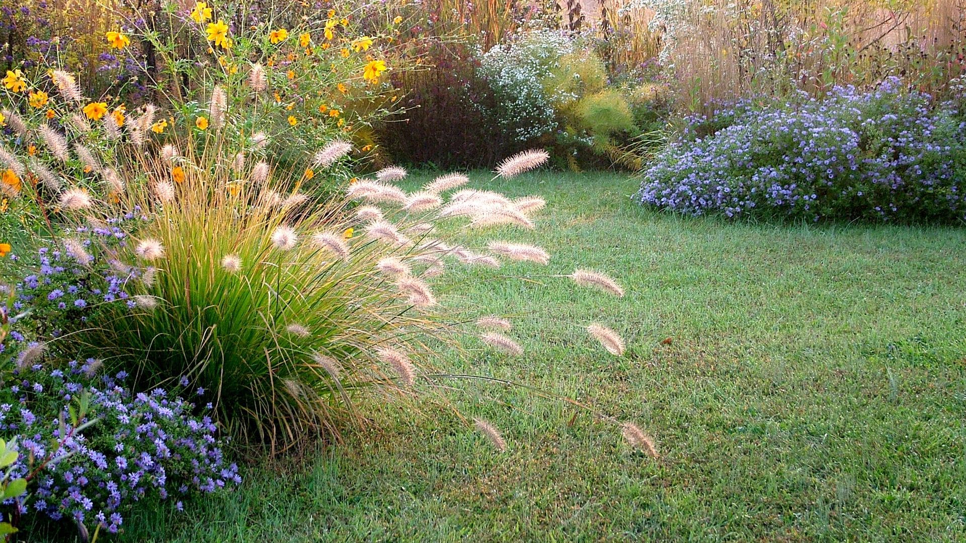 ¿Sabes cómo debes cuidar tu jardín después del verano? Prepáralo para la llegada del frío