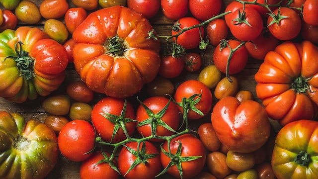 tomates salmorejo