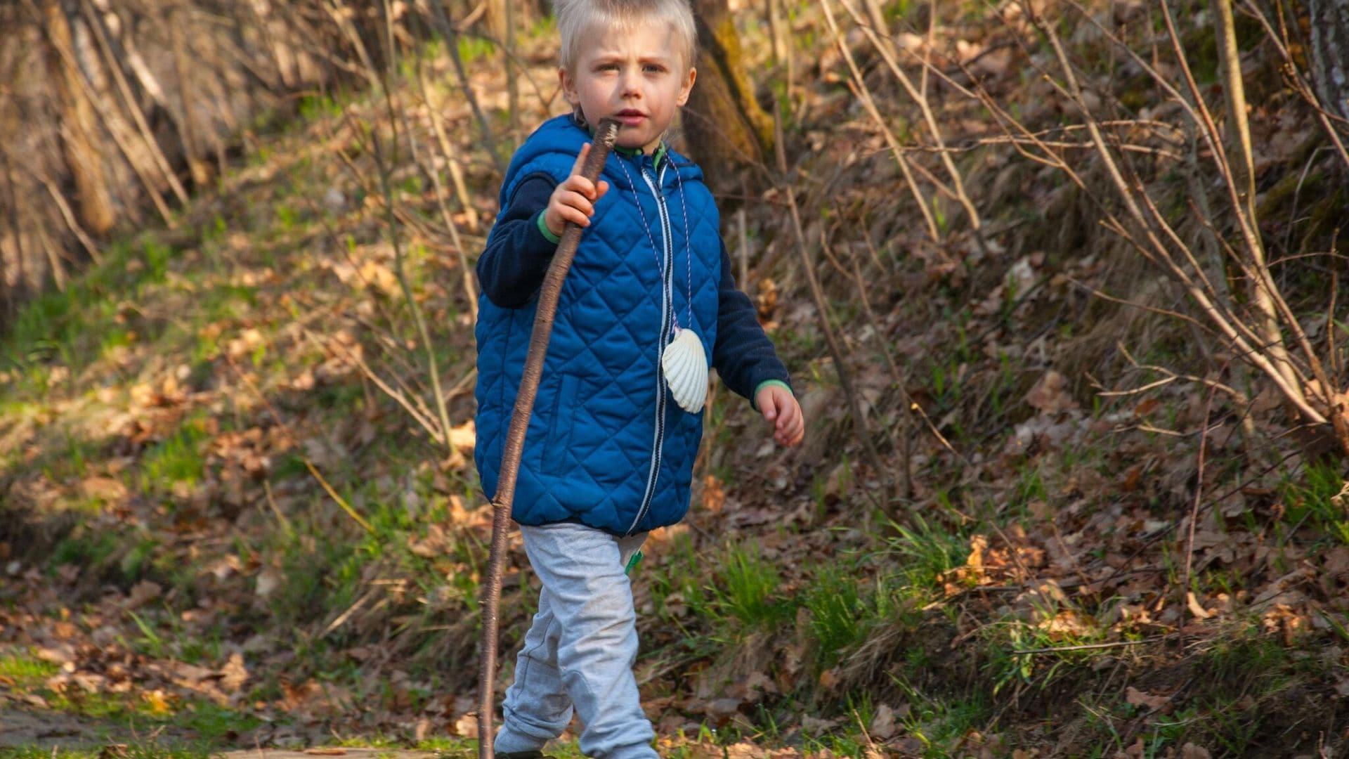 ¿Quieres hacer el Camino de Santiago con tus hijos? Toma nota de lo que debes saber