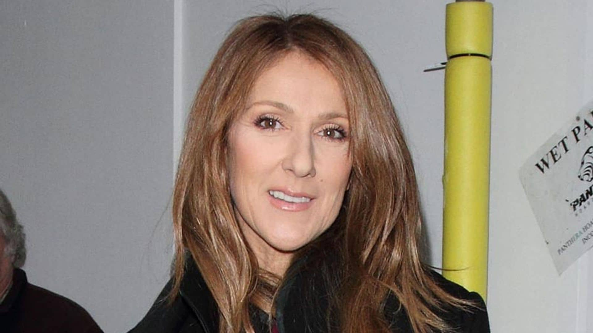 Las imágenes de la divertida reacción de Céline Dion cuando una pareja se comprometió frente a ella