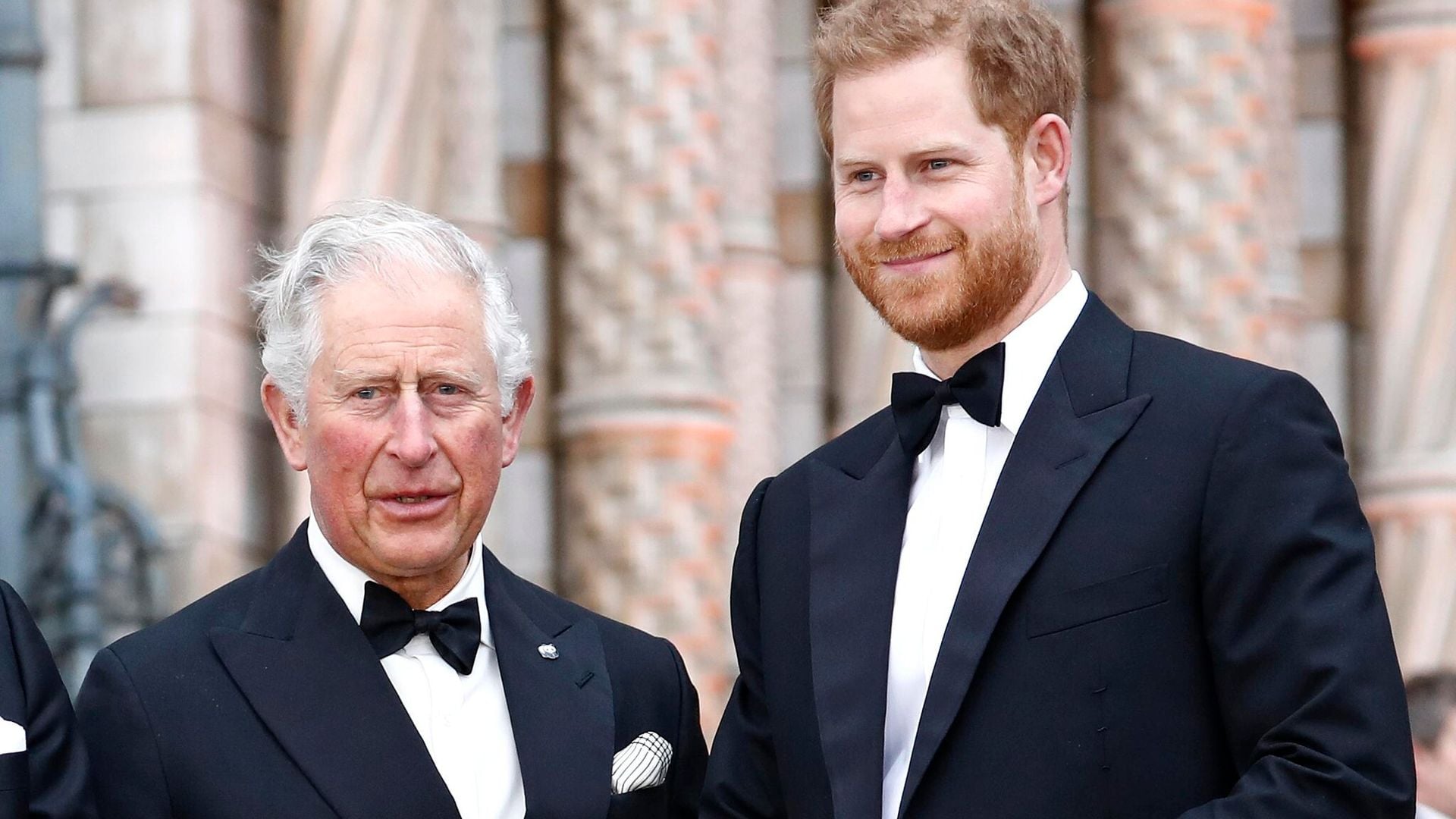 what prince harry had to say about visiting dad king charles