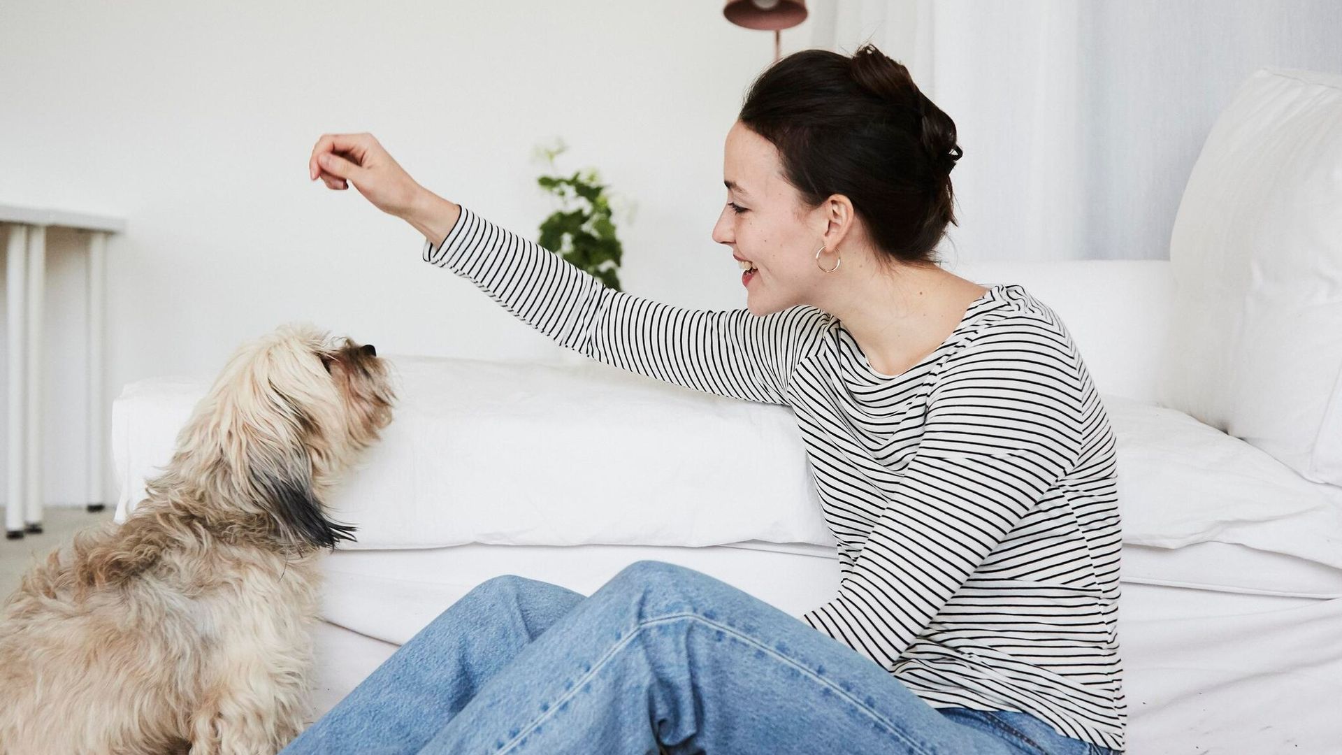 portrait of a young adult woman communicating with her dog
